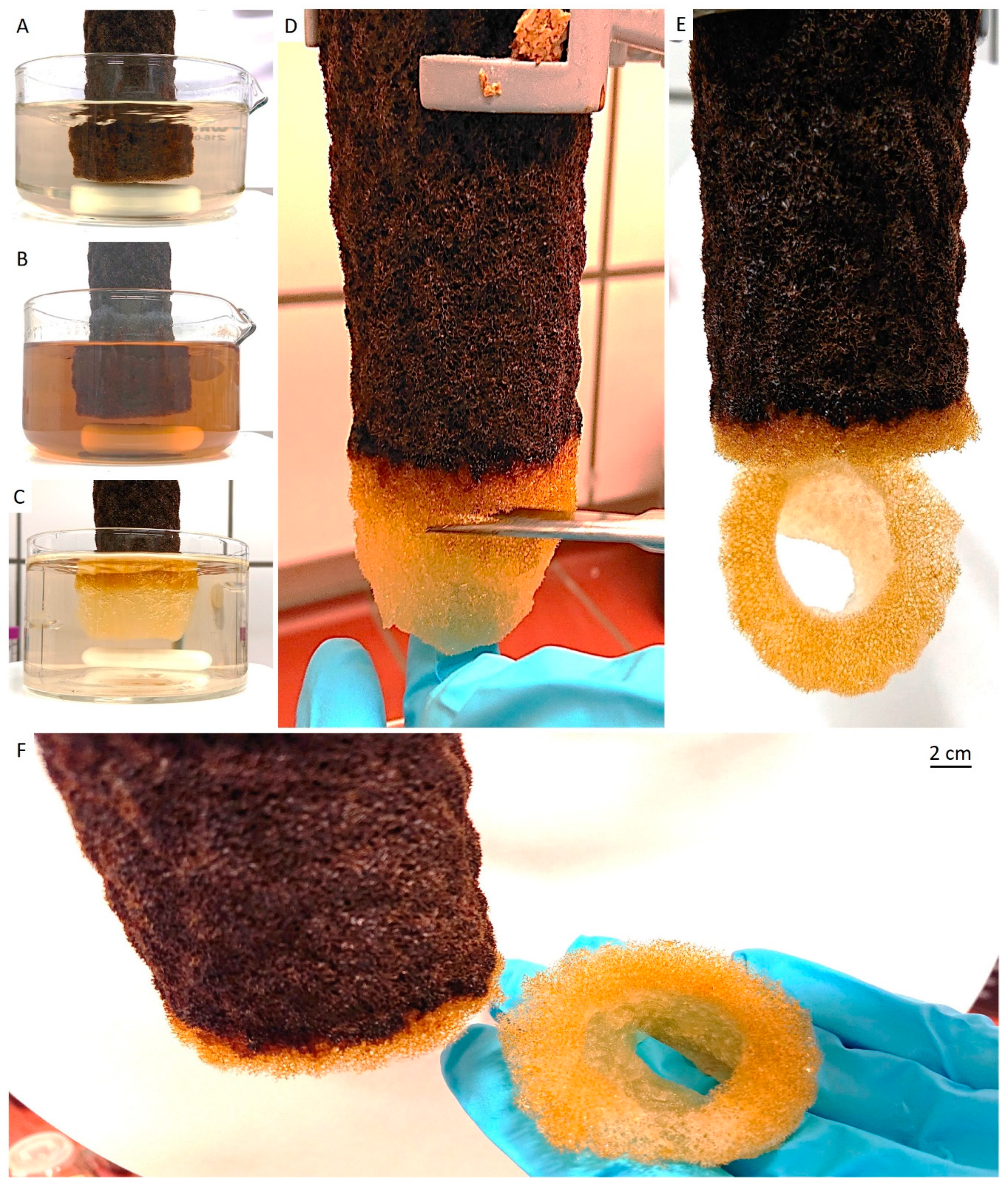 Marinedrugs 18 00123 g003 Marinedrugs 18 00123 g003