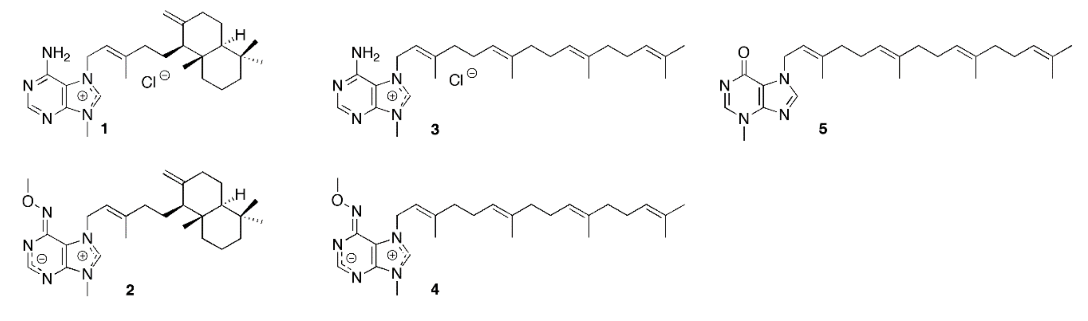 Marinedrugs 18 00125 g001 Marinedrugs 18 00125 g001