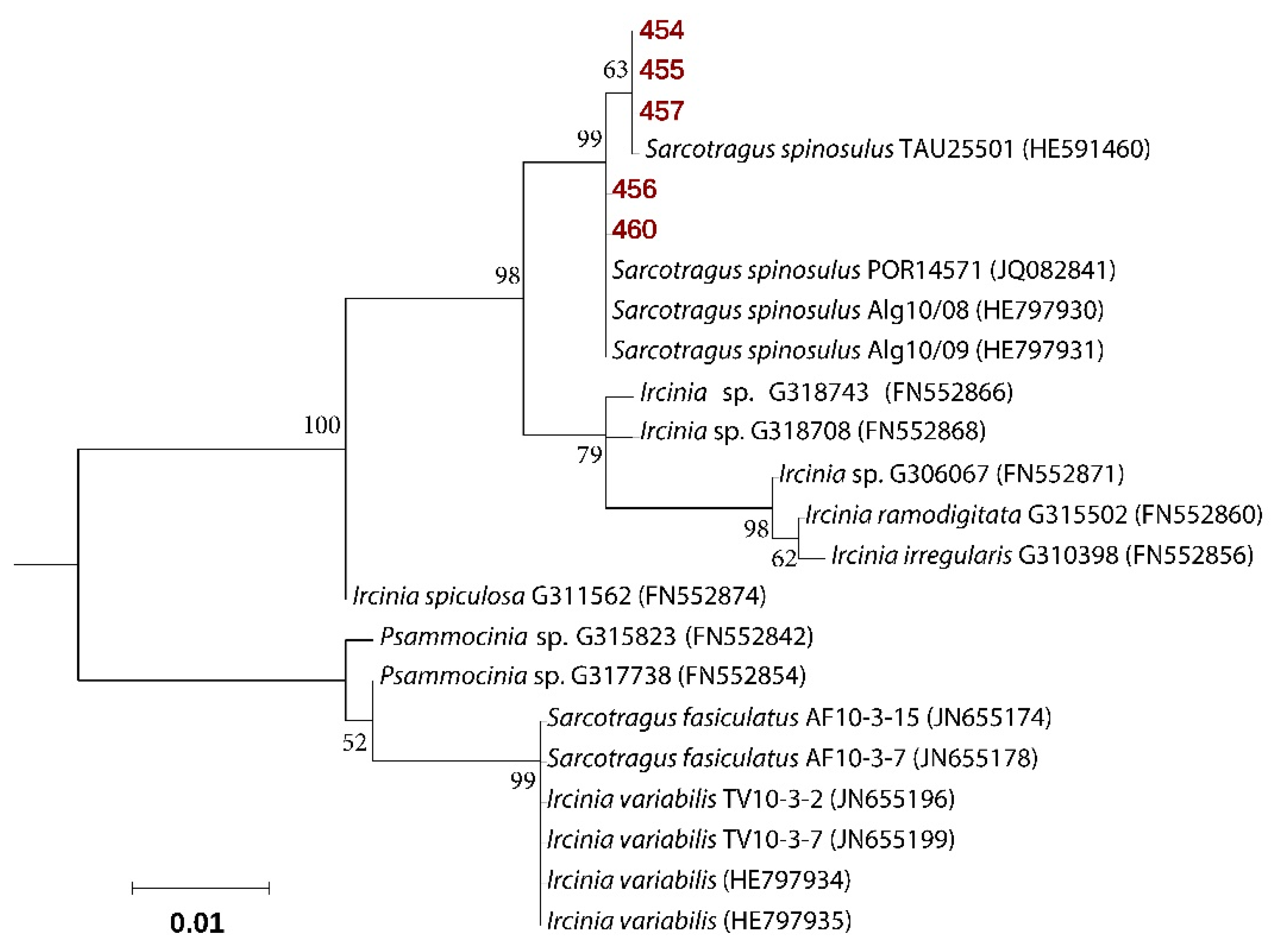 Marinedrugs 18 00127 g001 Marinedrugs 18 00127 g001