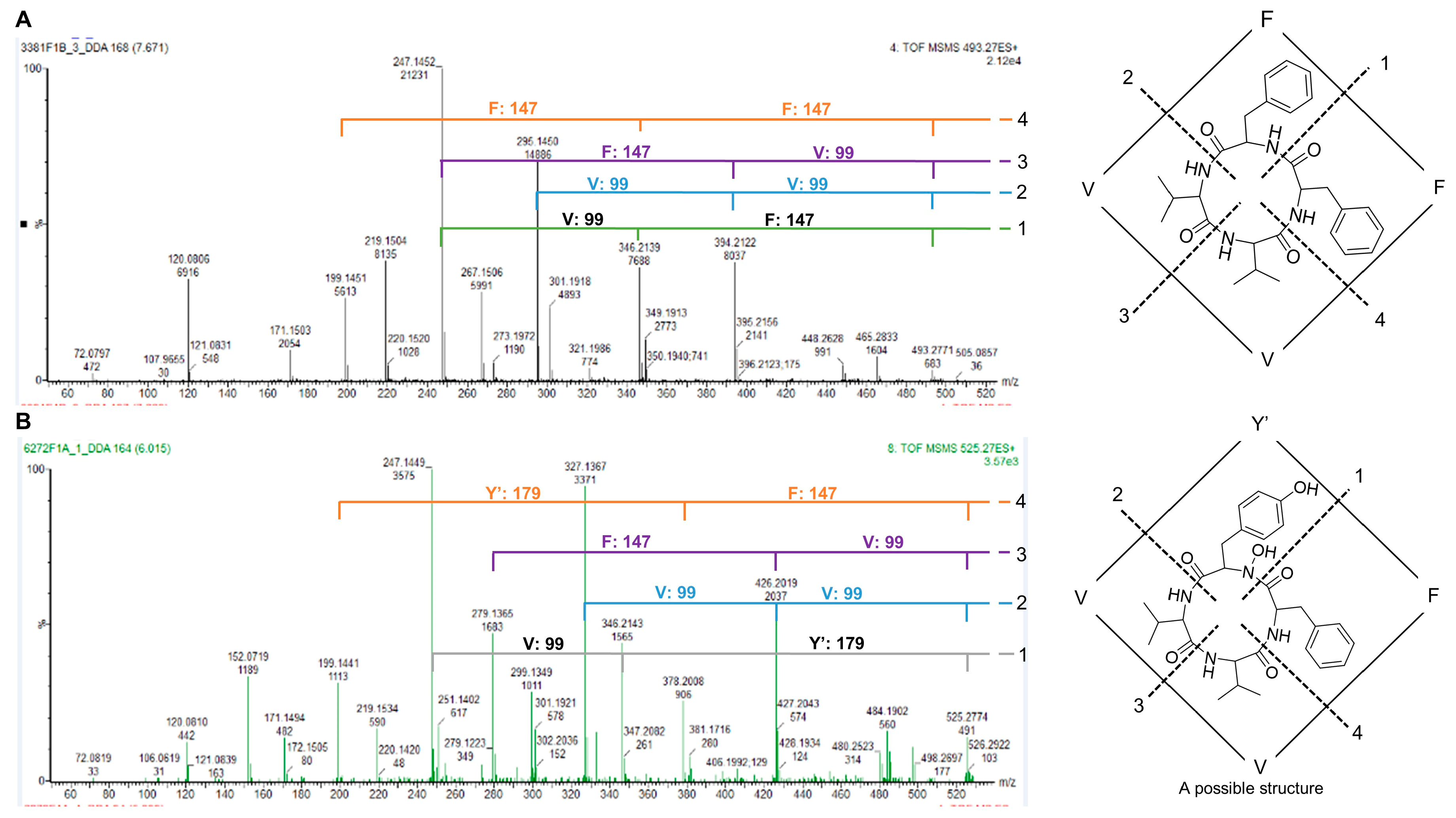 Marinedrugs 18 00128 g004