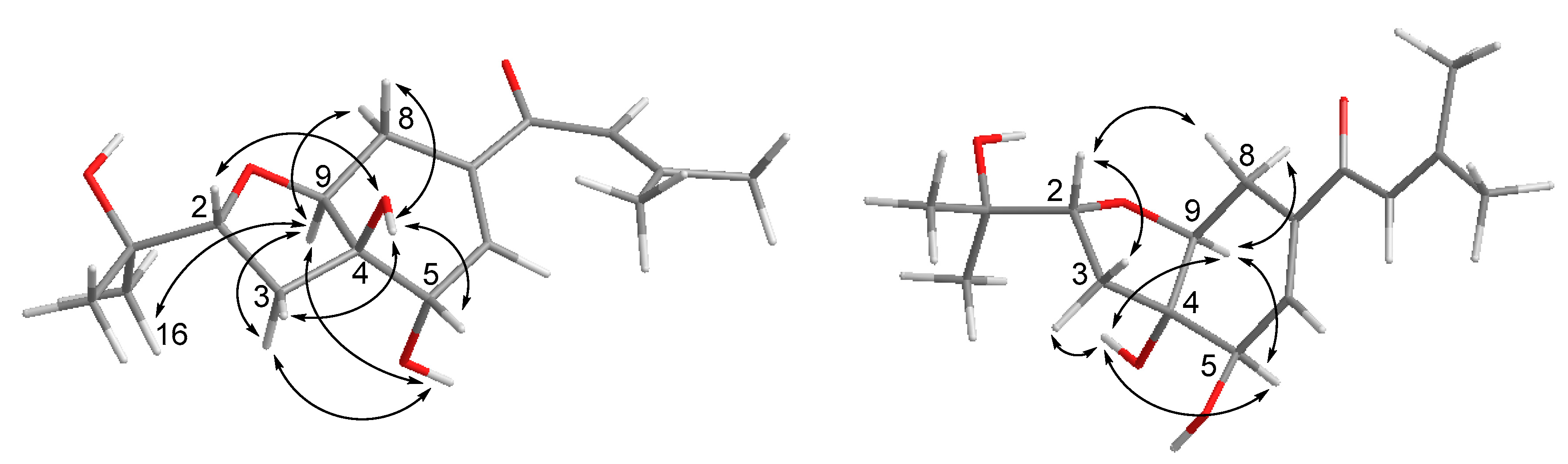 Marinedrugs 18 00129 g002