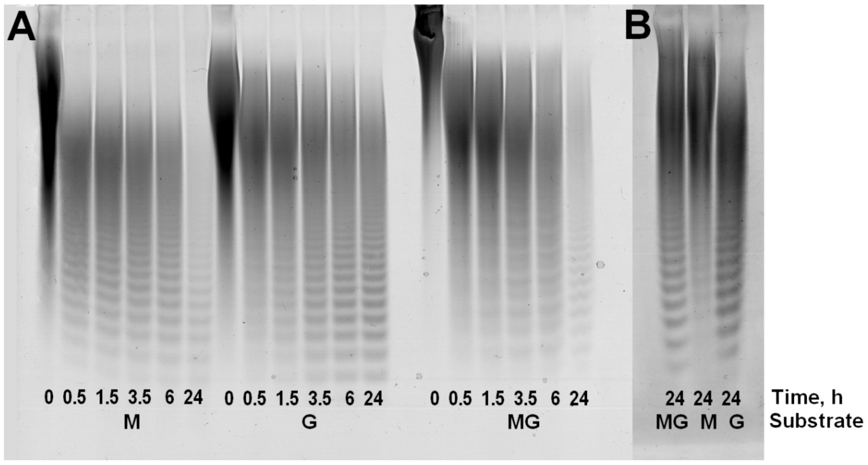 Marinedrugs 18 00130 g002