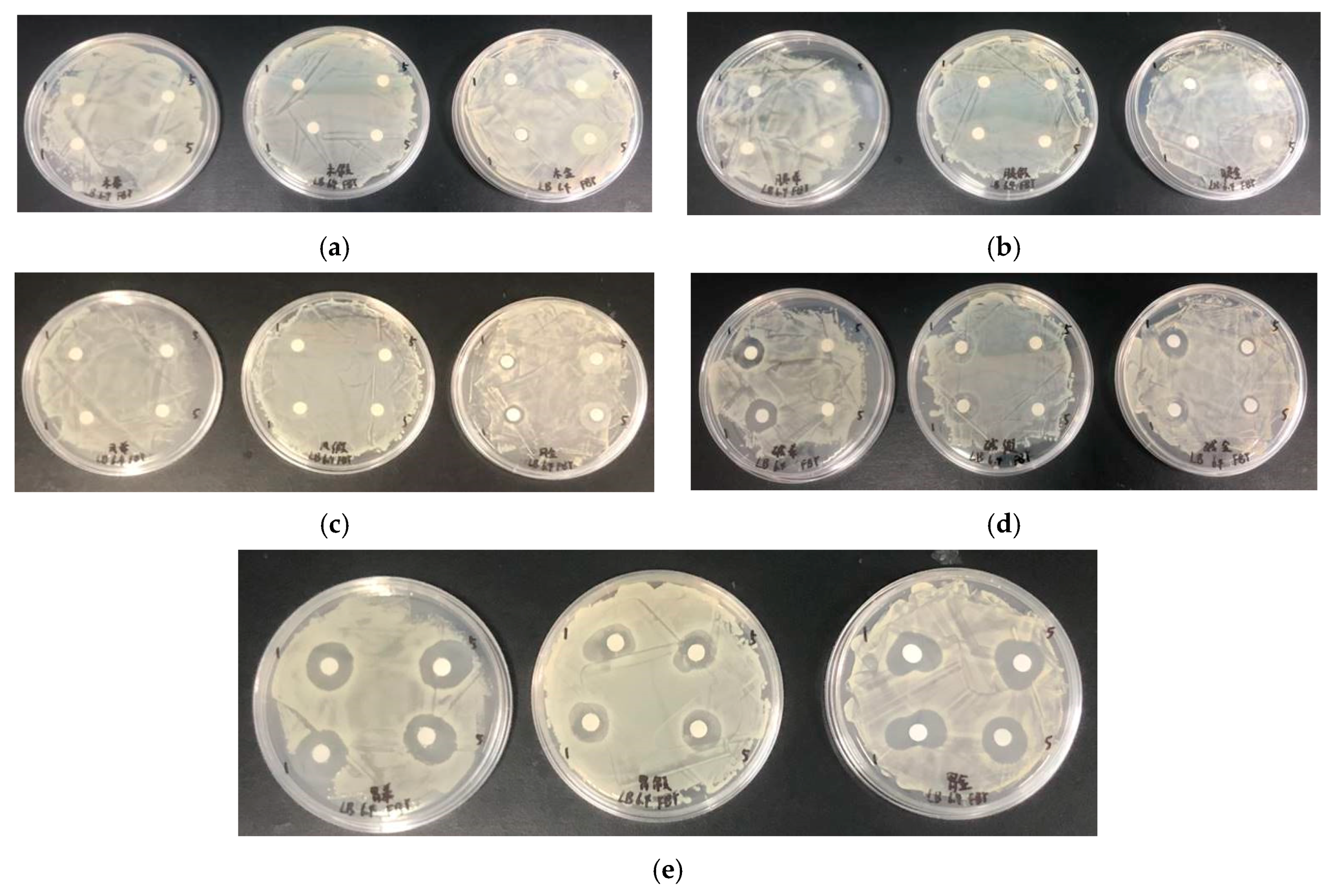 Marinedrugs 18 00133 g006 Marinedrugs 18 00133 g006