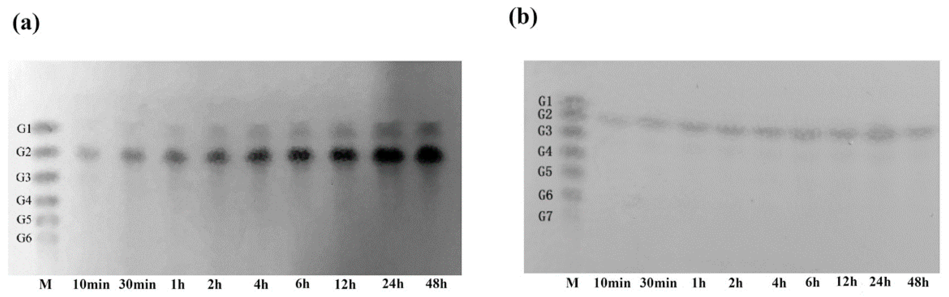 Marinedrugs 18 00139 g004