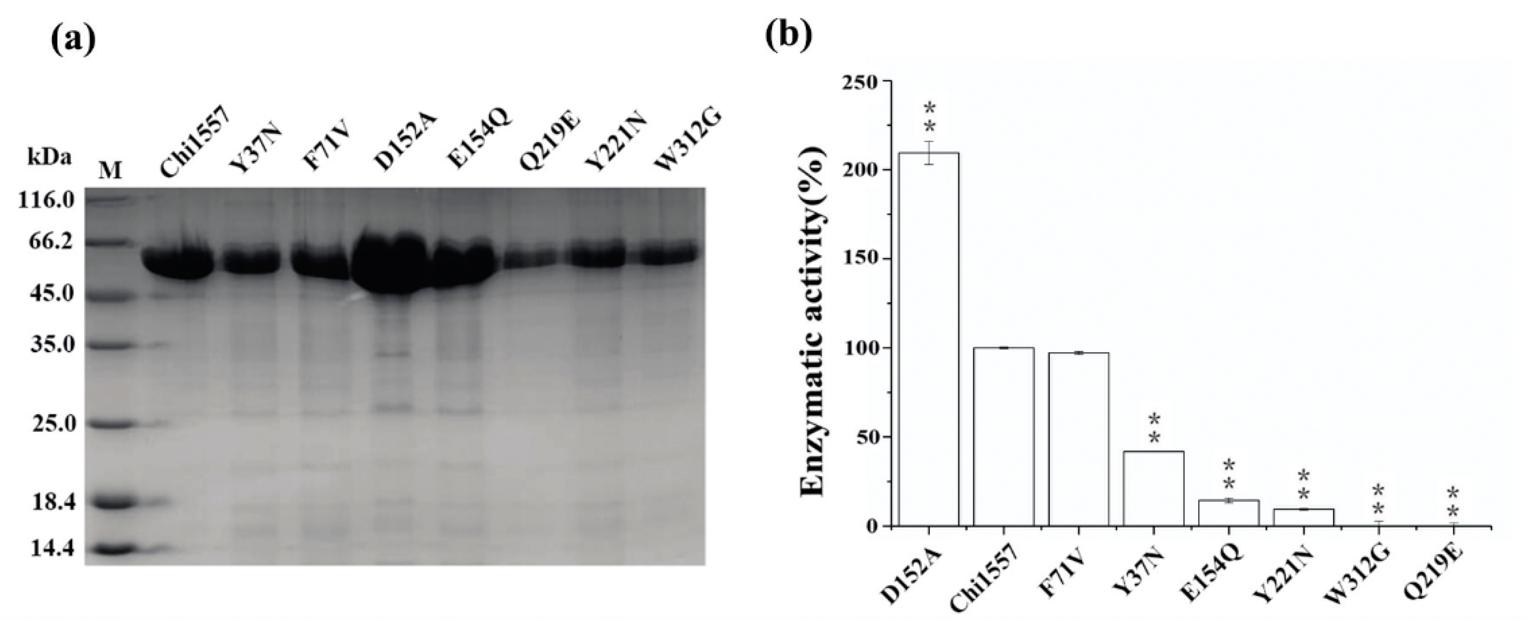 Marinedrugs 18 00139 g005