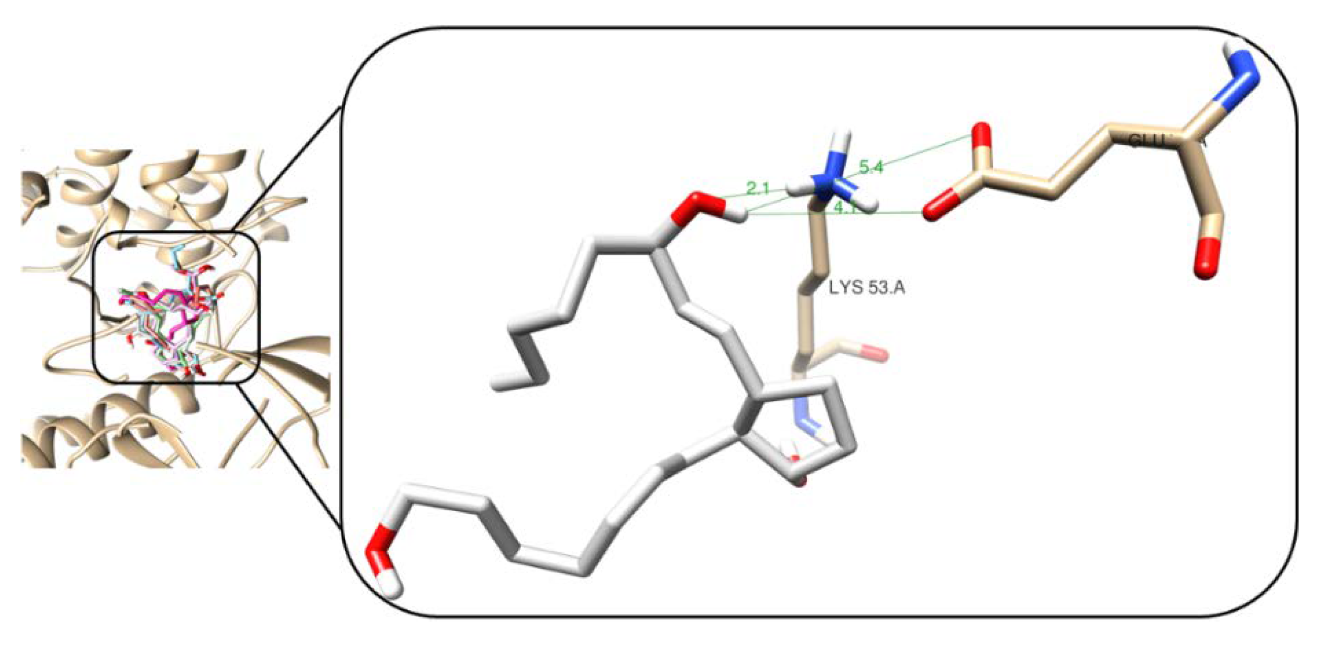 Marinedrugs 18 00141 g006 Marinedrugs 18 00141 g006