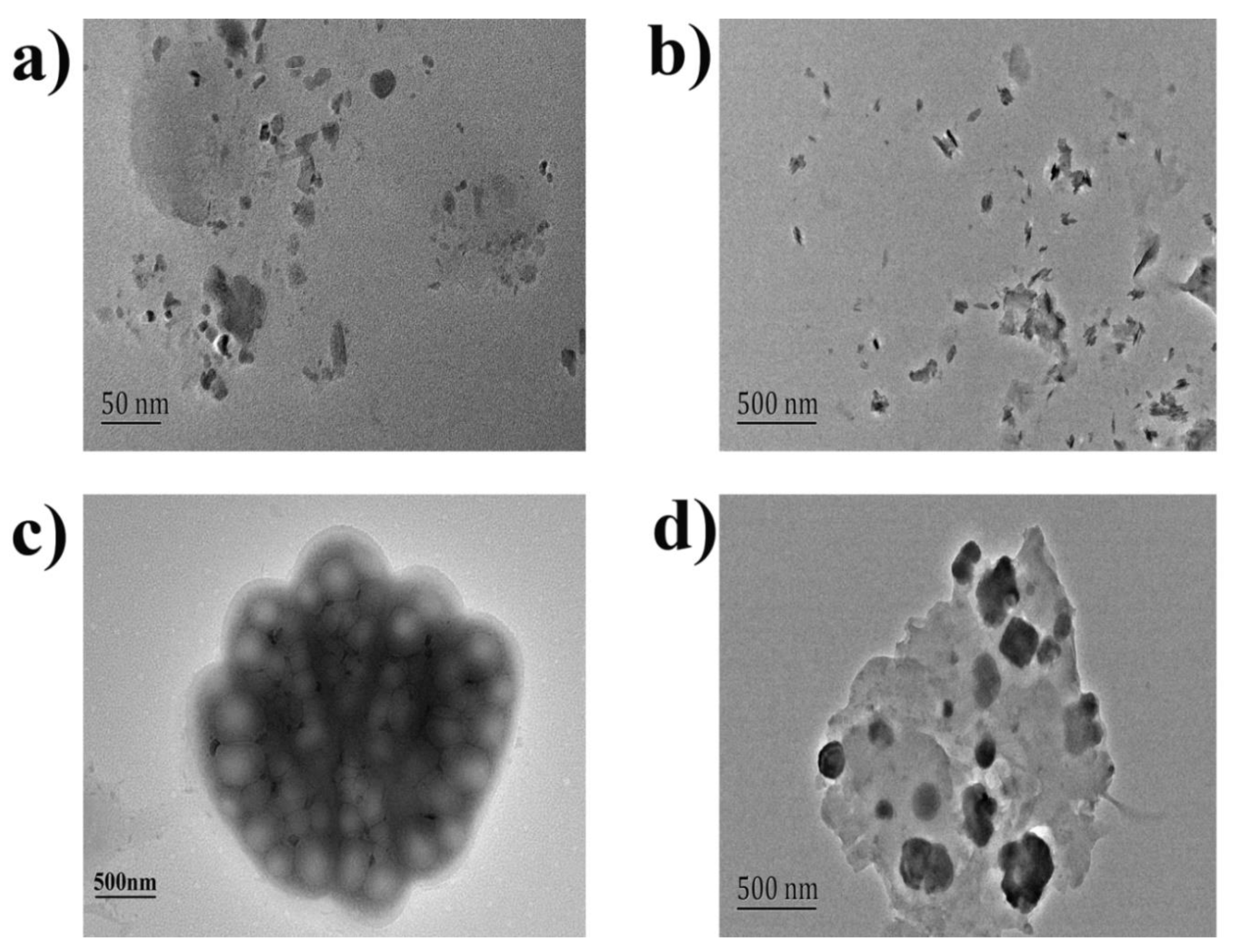 Marinedrugs 18 00146 g003