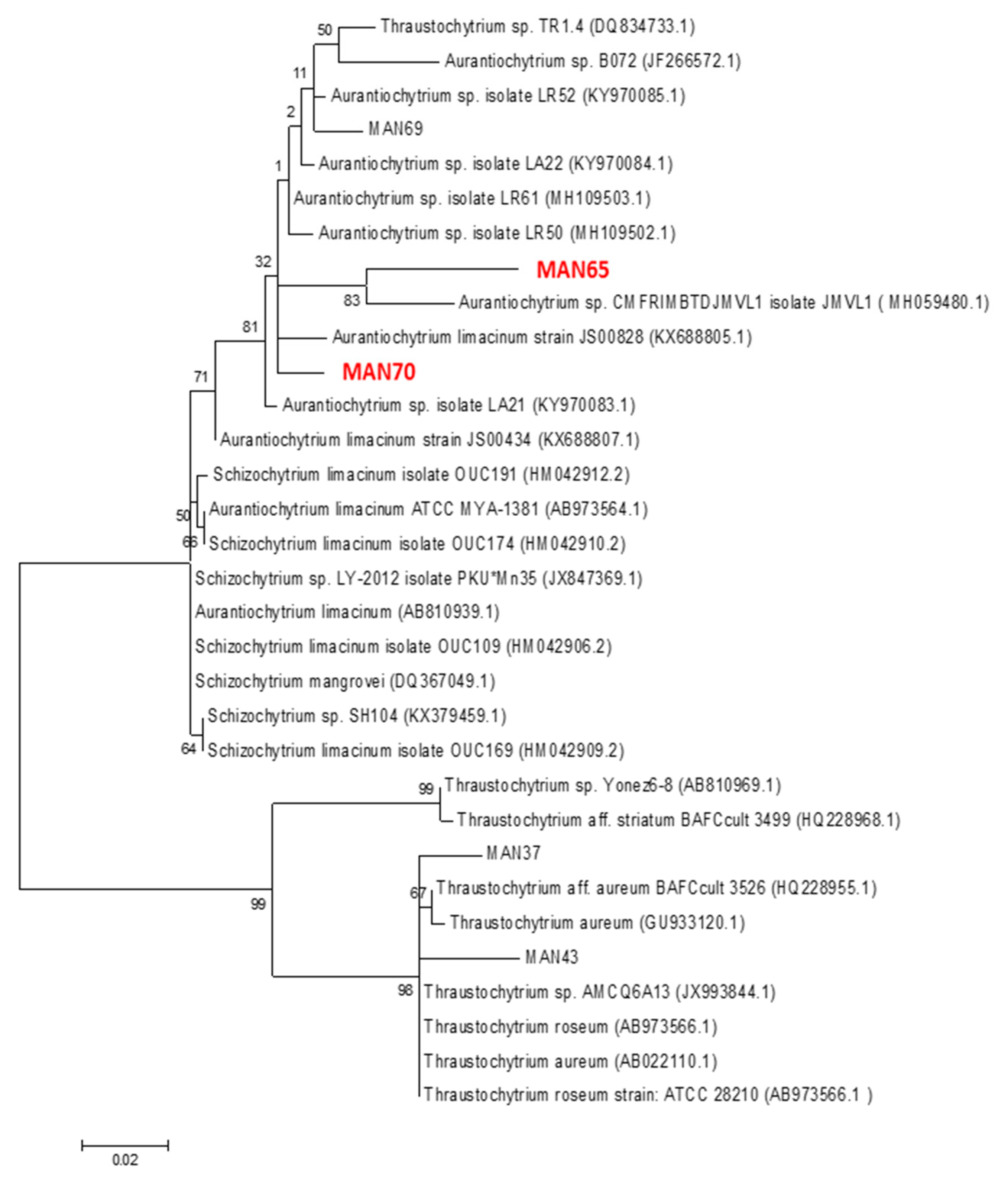 Marinedrugs 18 00151 g001