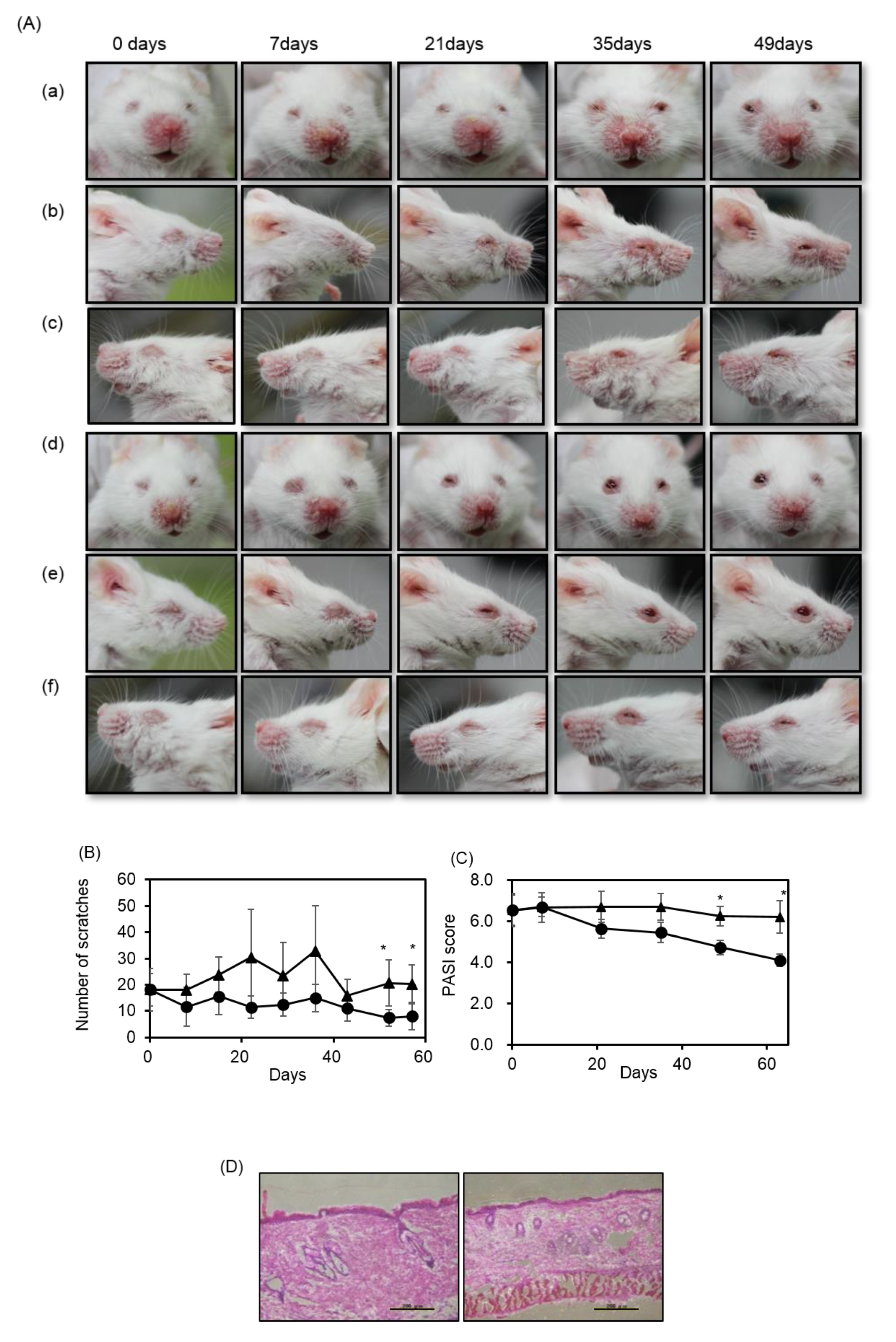 Marinedrugs 18 00154 g001 Marinedrugs 18 00154 g001