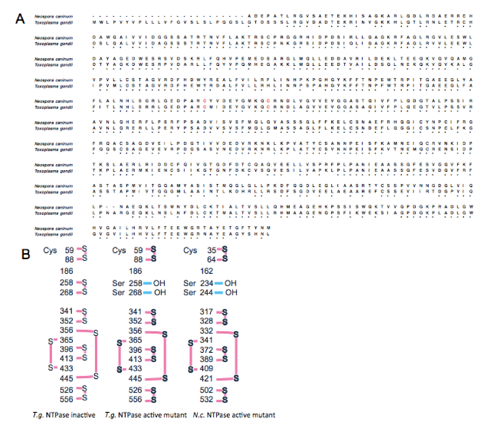 Marinedrugs 18 00161 g001 Marinedrugs 18 00161 g001