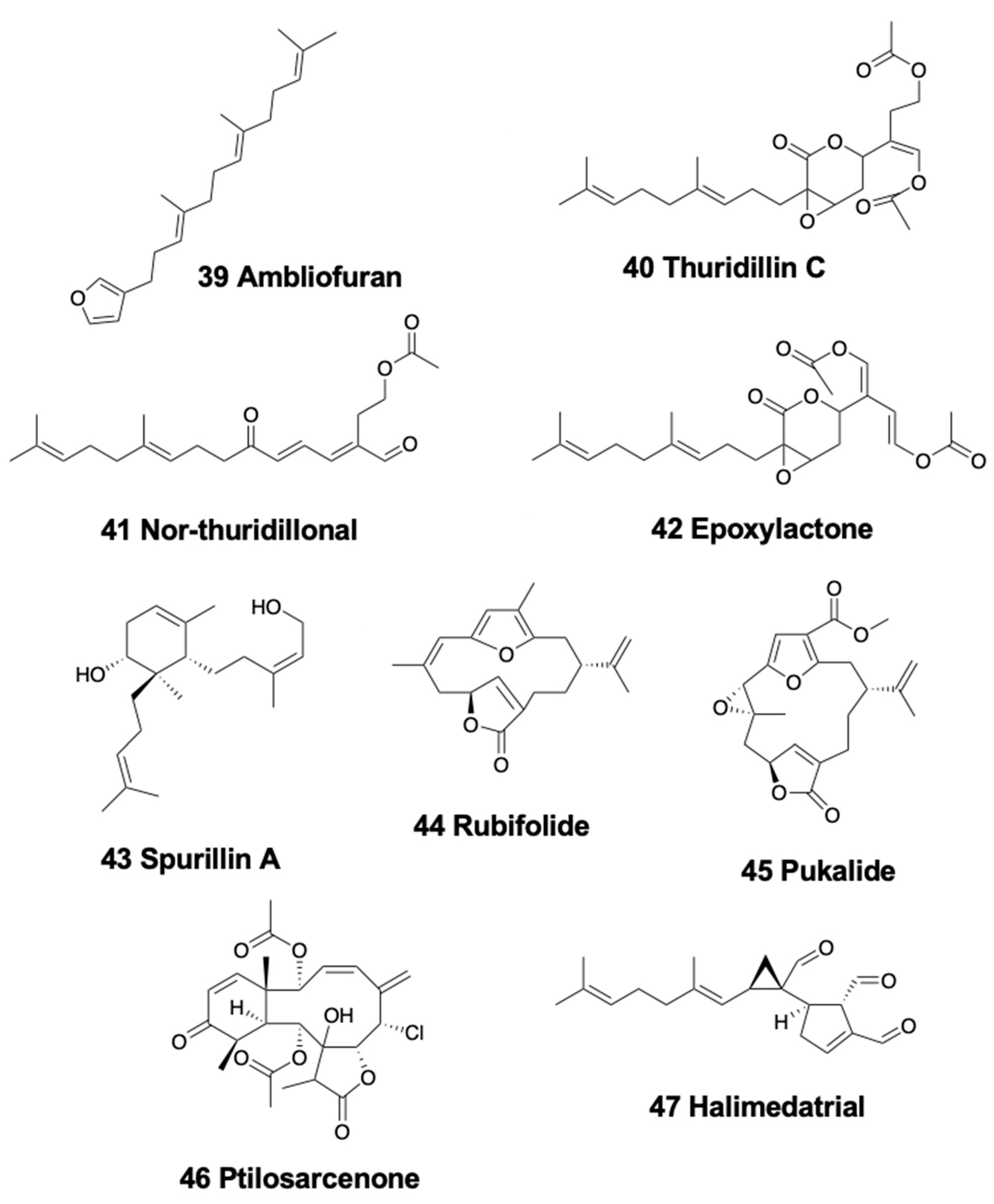 Marinedrugs 18 00162 g006