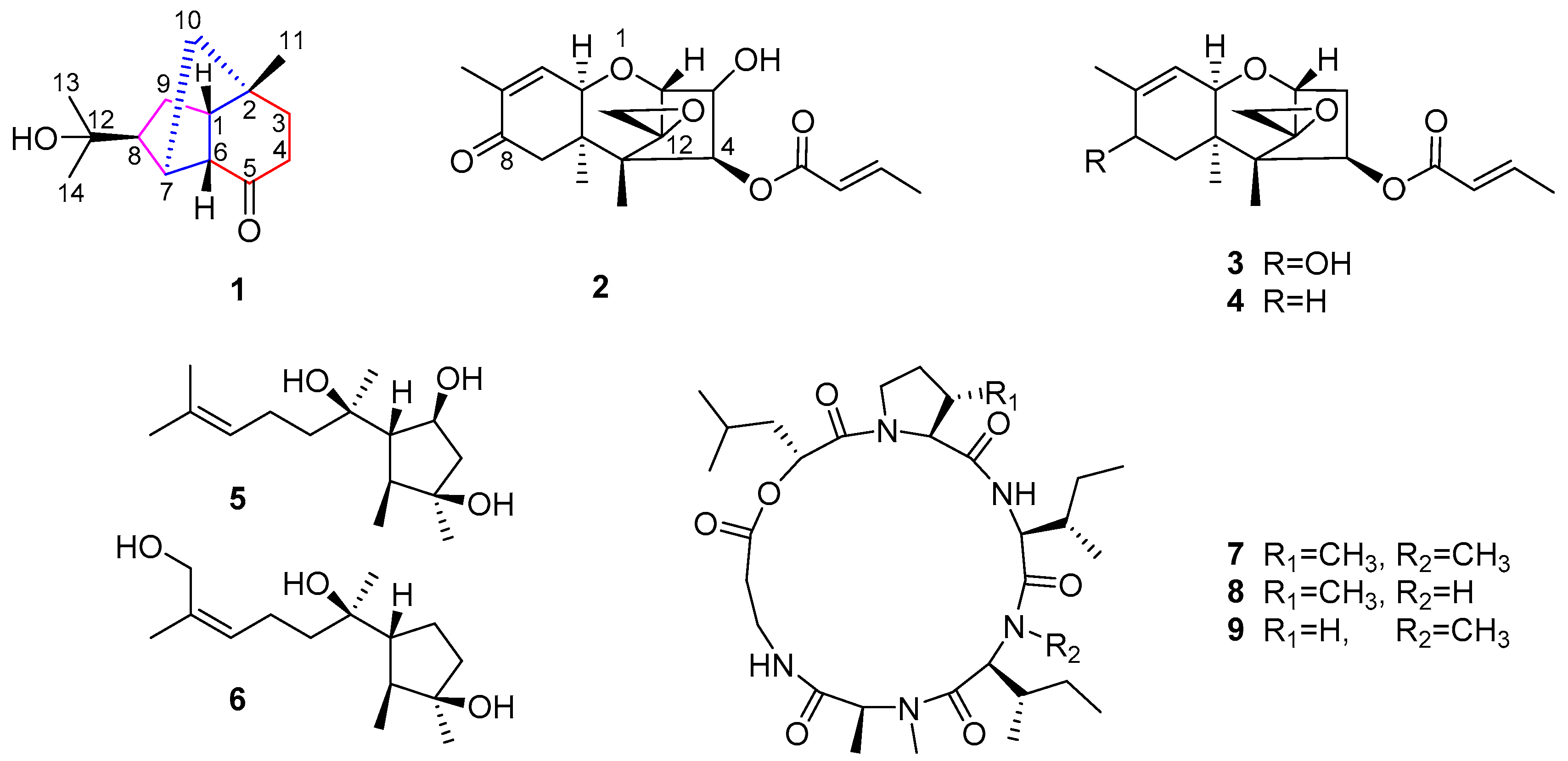 Marinedrugs 18 00165 g001 Marinedrugs 18 00165 g001