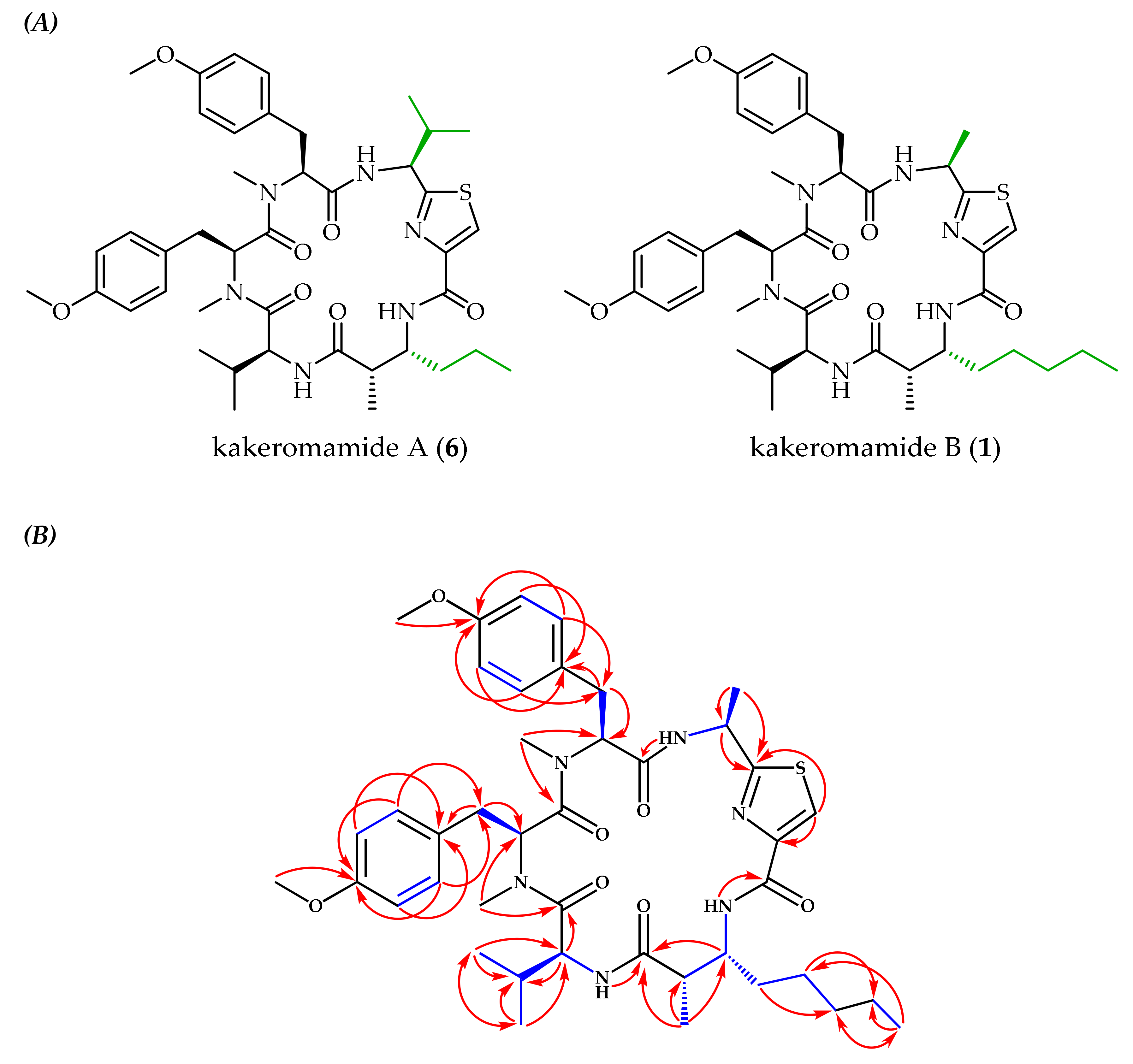Marinedrugs 18 00167 g002 Marinedrugs 18 00167 g002