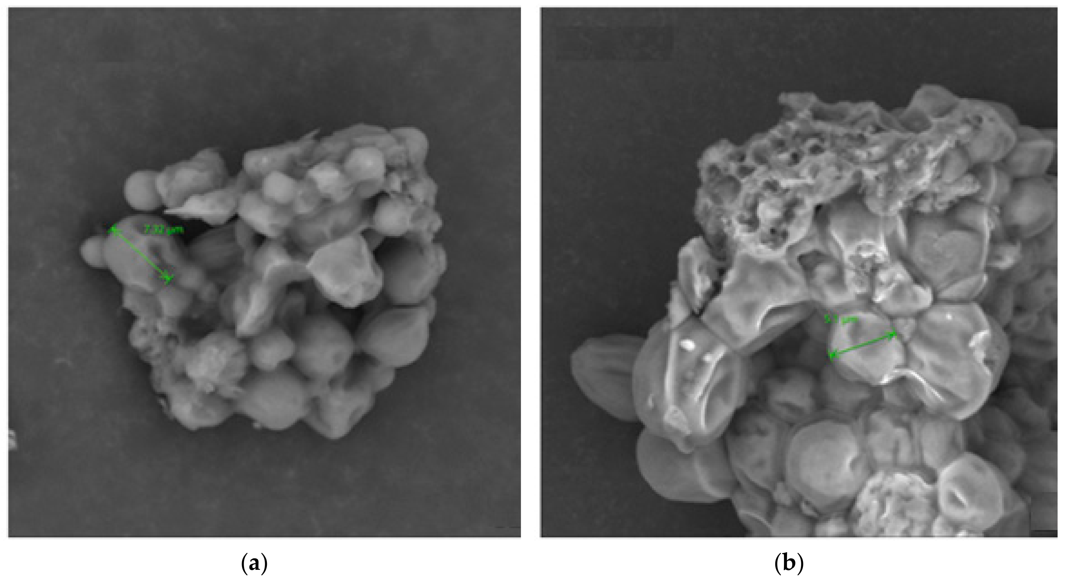 Marinedrugs 18 00169 g001