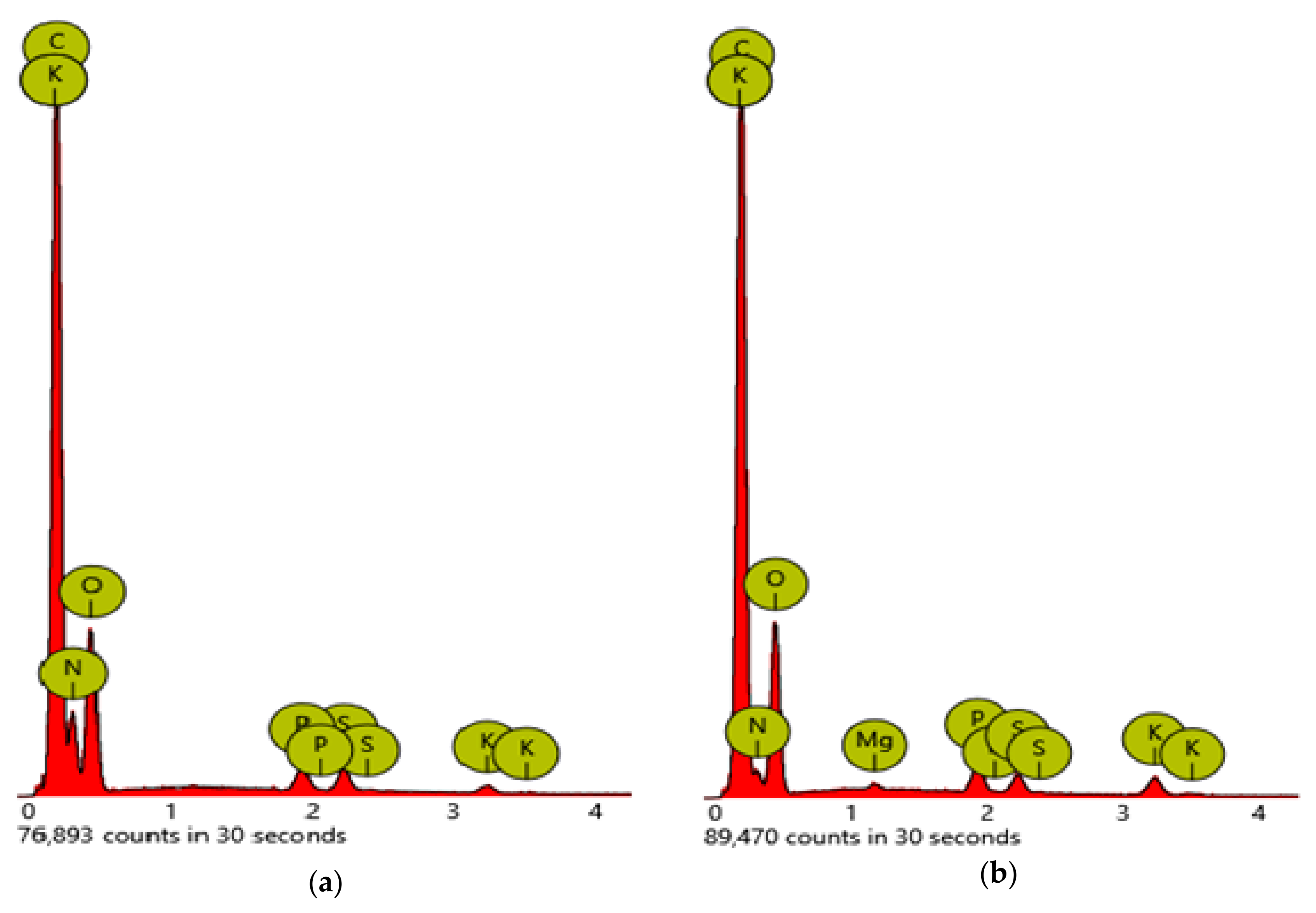 Marinedrugs 18 00169 g002