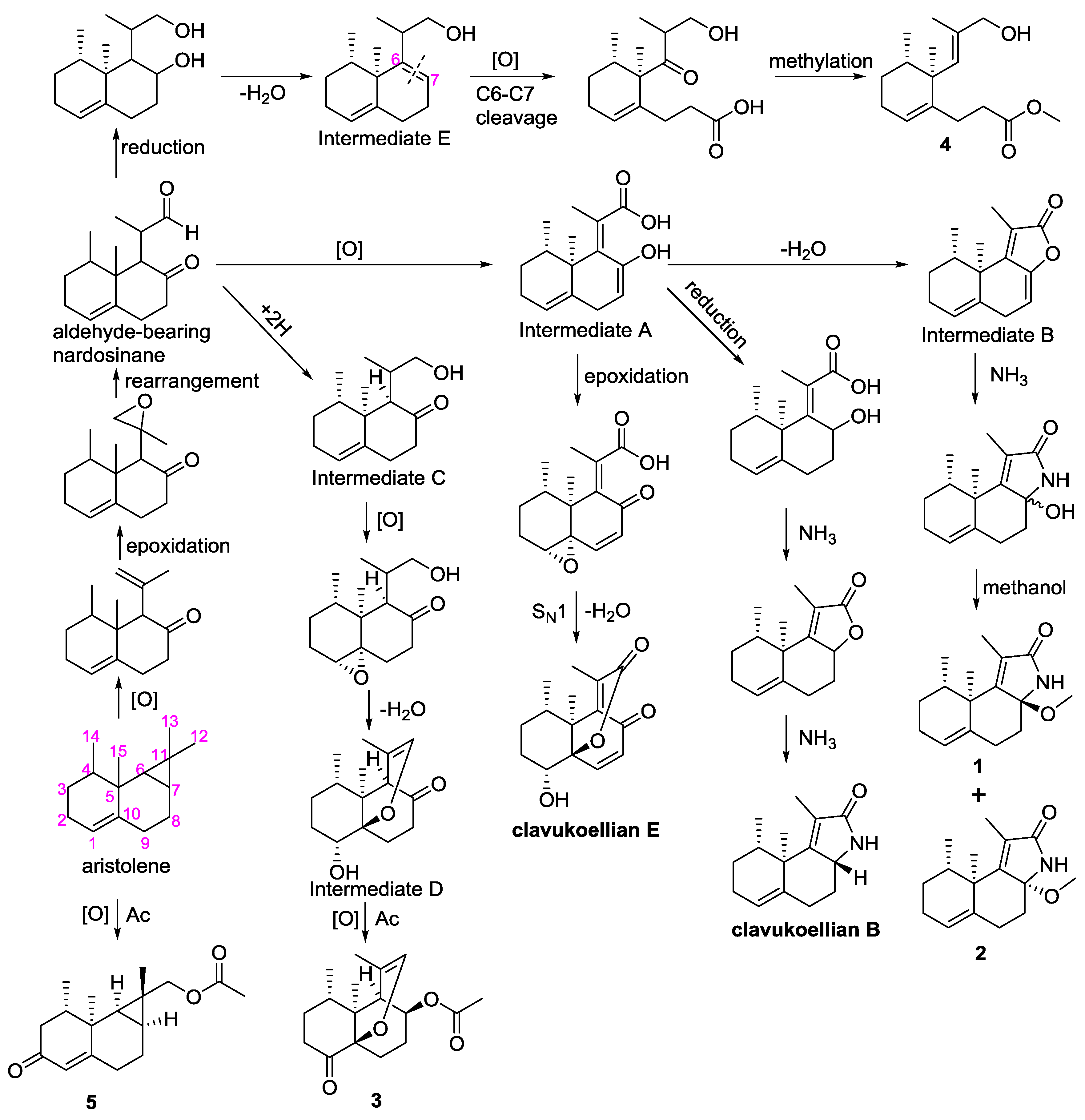 Marinedrugs 18 00171 sch001 Marinedrugs 18 00171 sch001