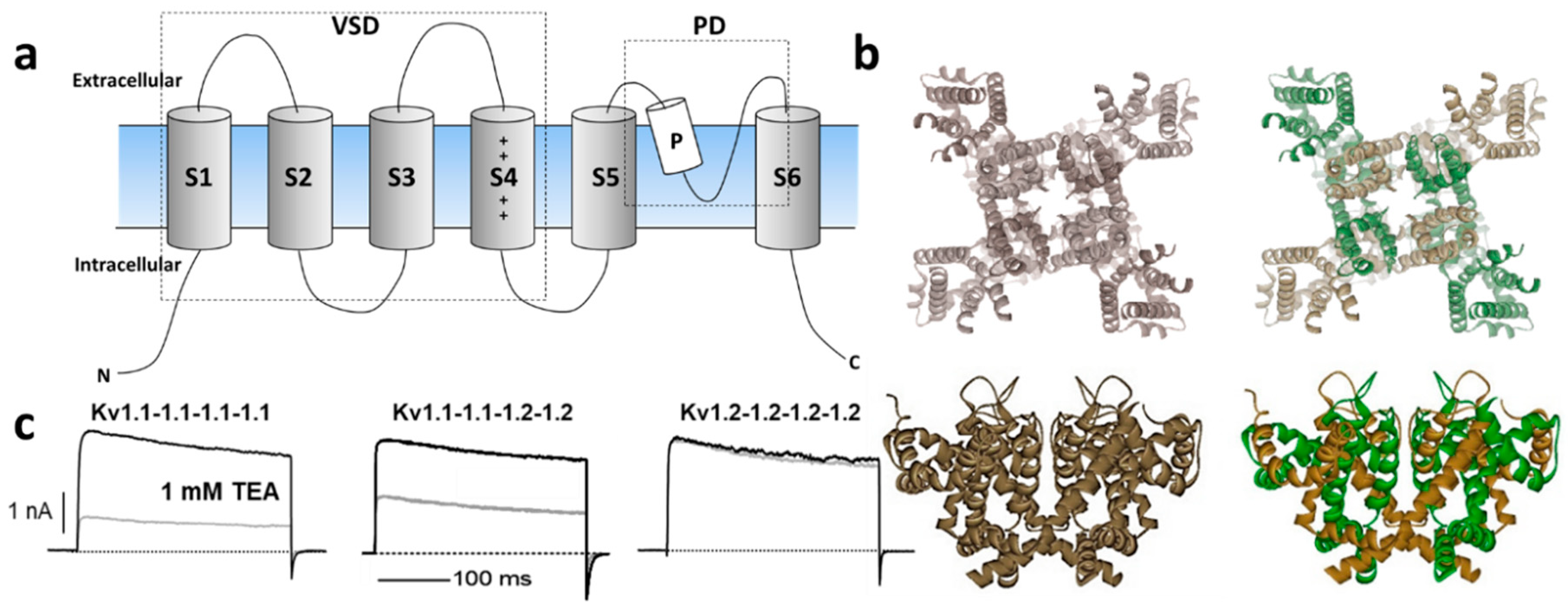 Marinedrugs 18 00173 g001 Marinedrugs 18 00173 g001