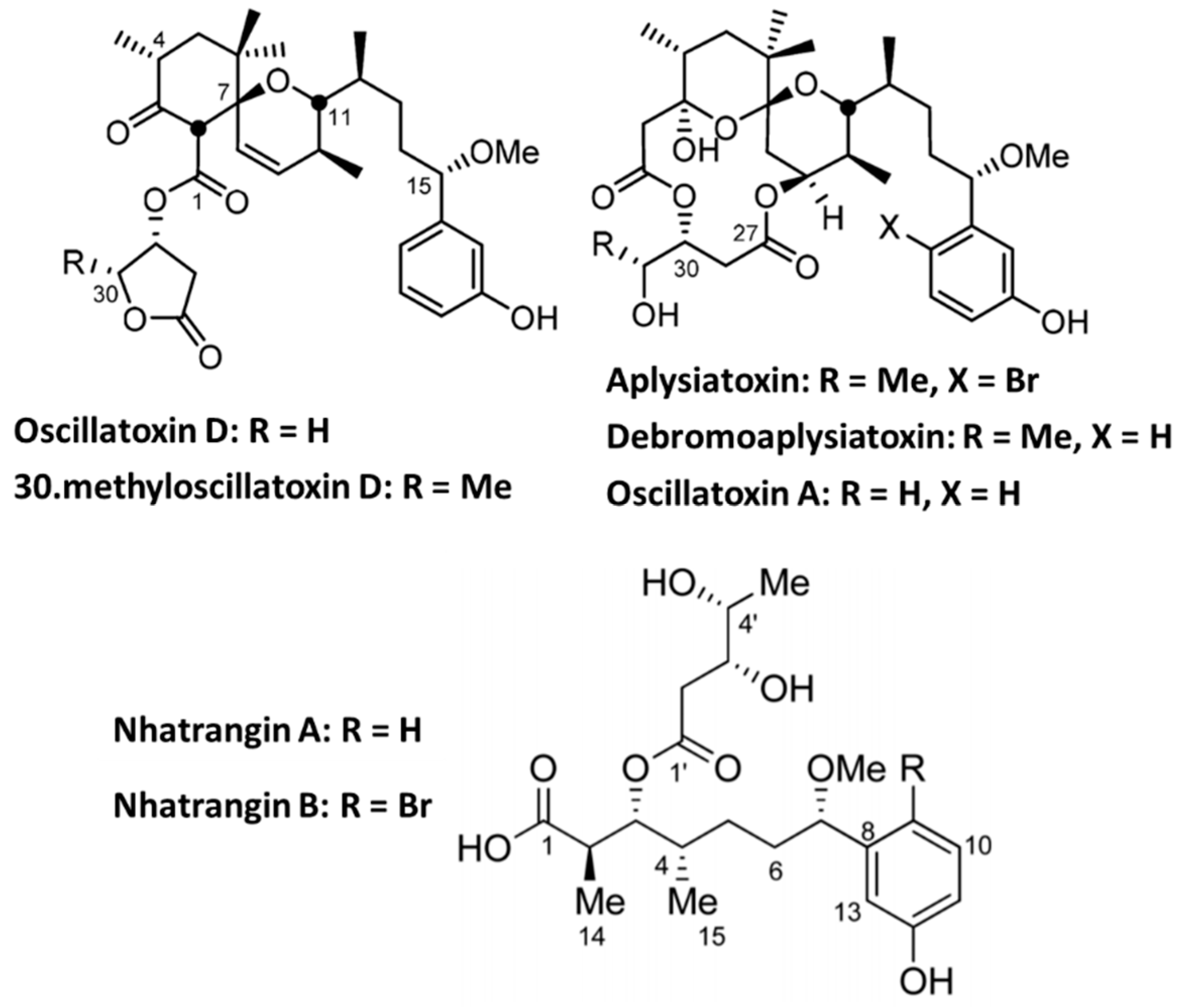 Marinedrugs 18 00173 g006 Marinedrugs 18 00173 g006