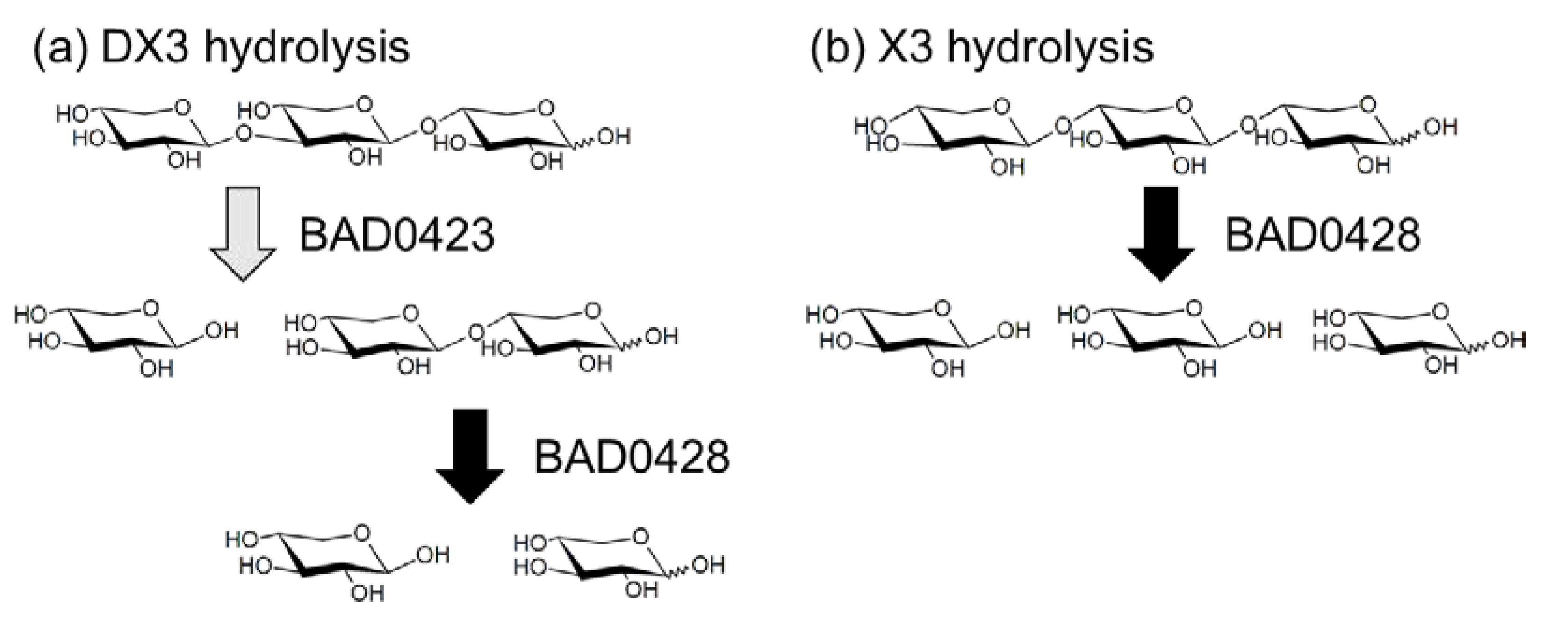 Marinedrugs 18 00174 g006