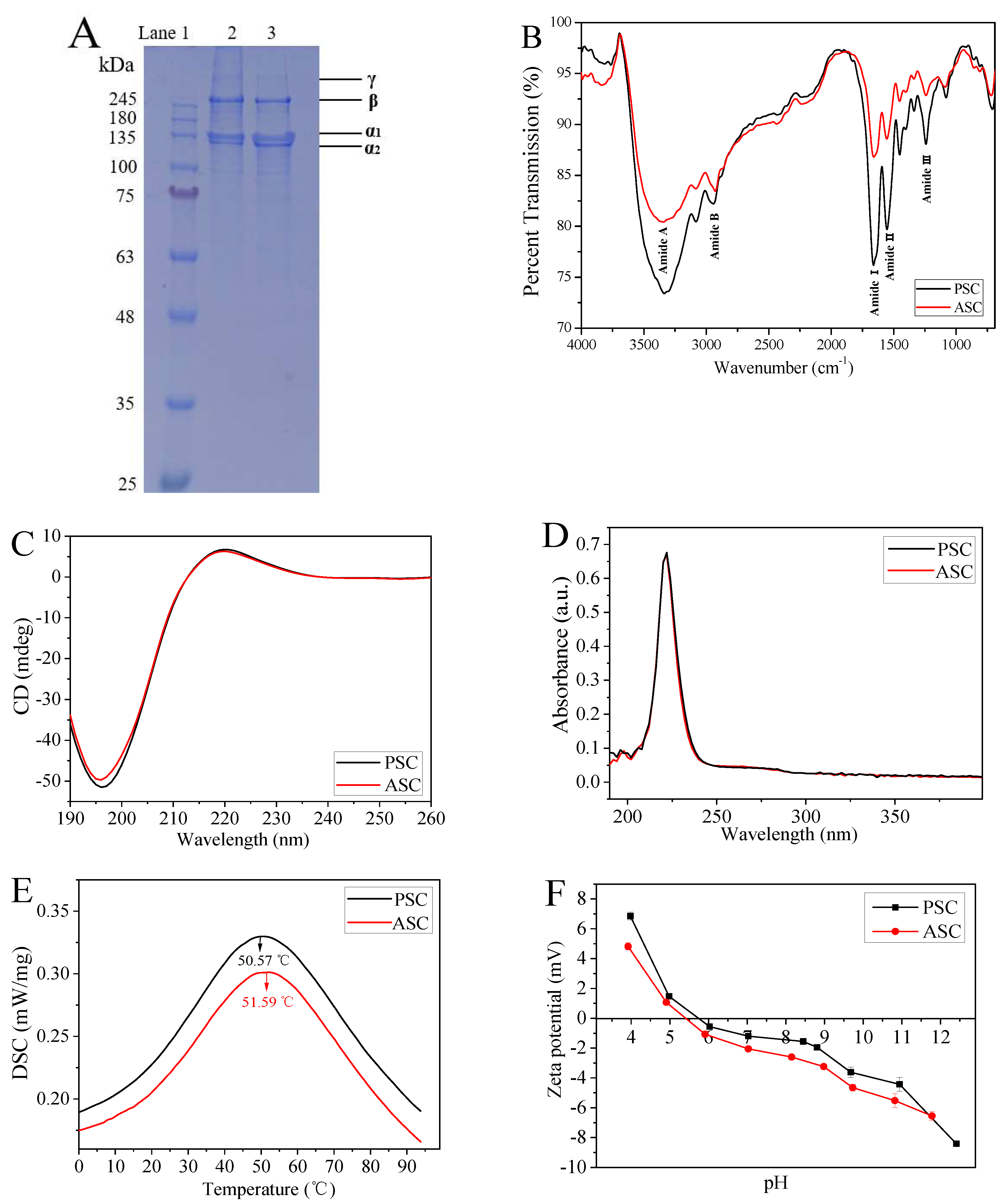 Marinedrugs 18 00178 g001