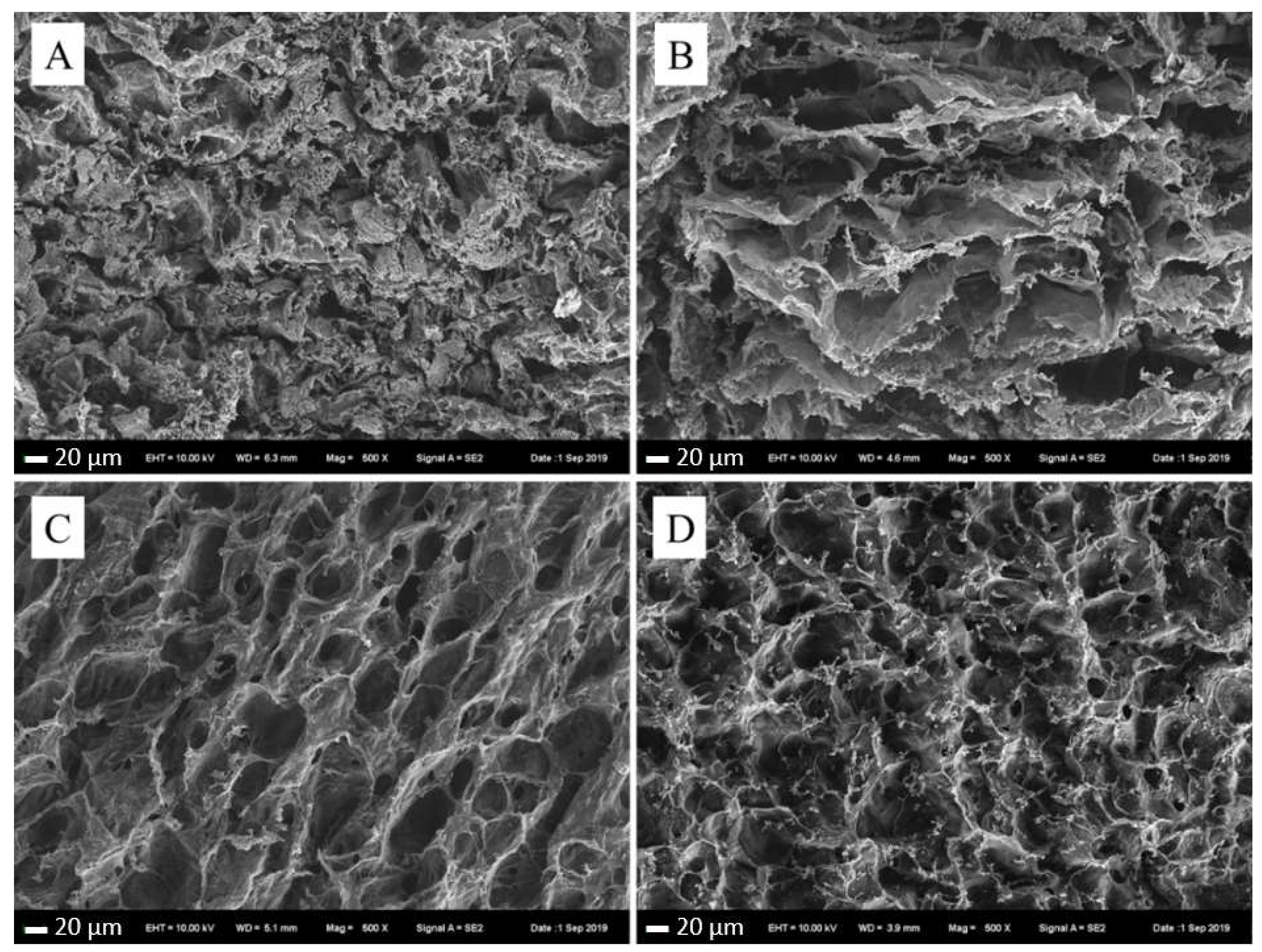 Marinedrugs 18 00178 g004