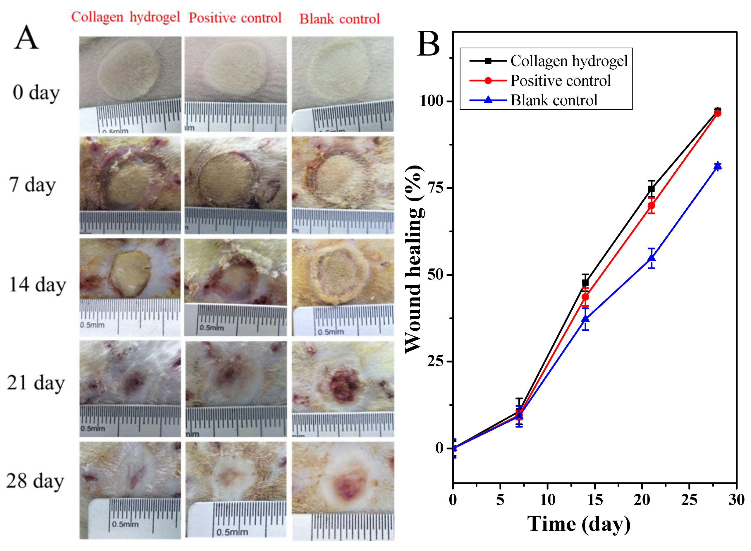 Marinedrugs 18 00178 g006