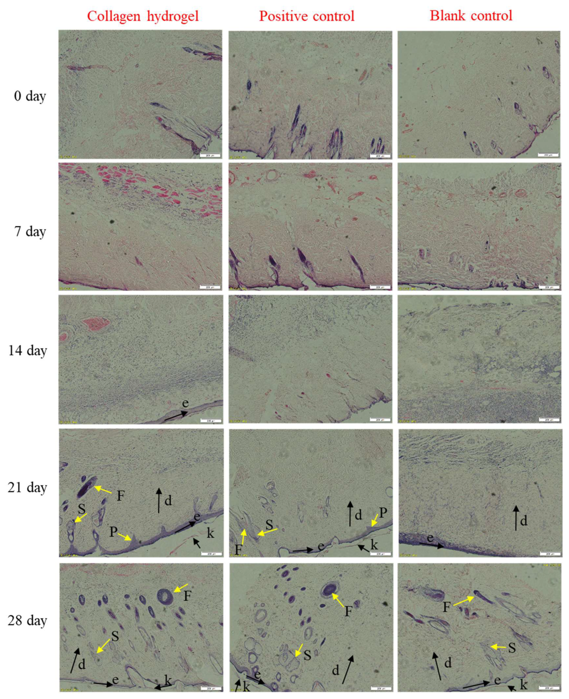 Marinedrugs 18 00178 g007