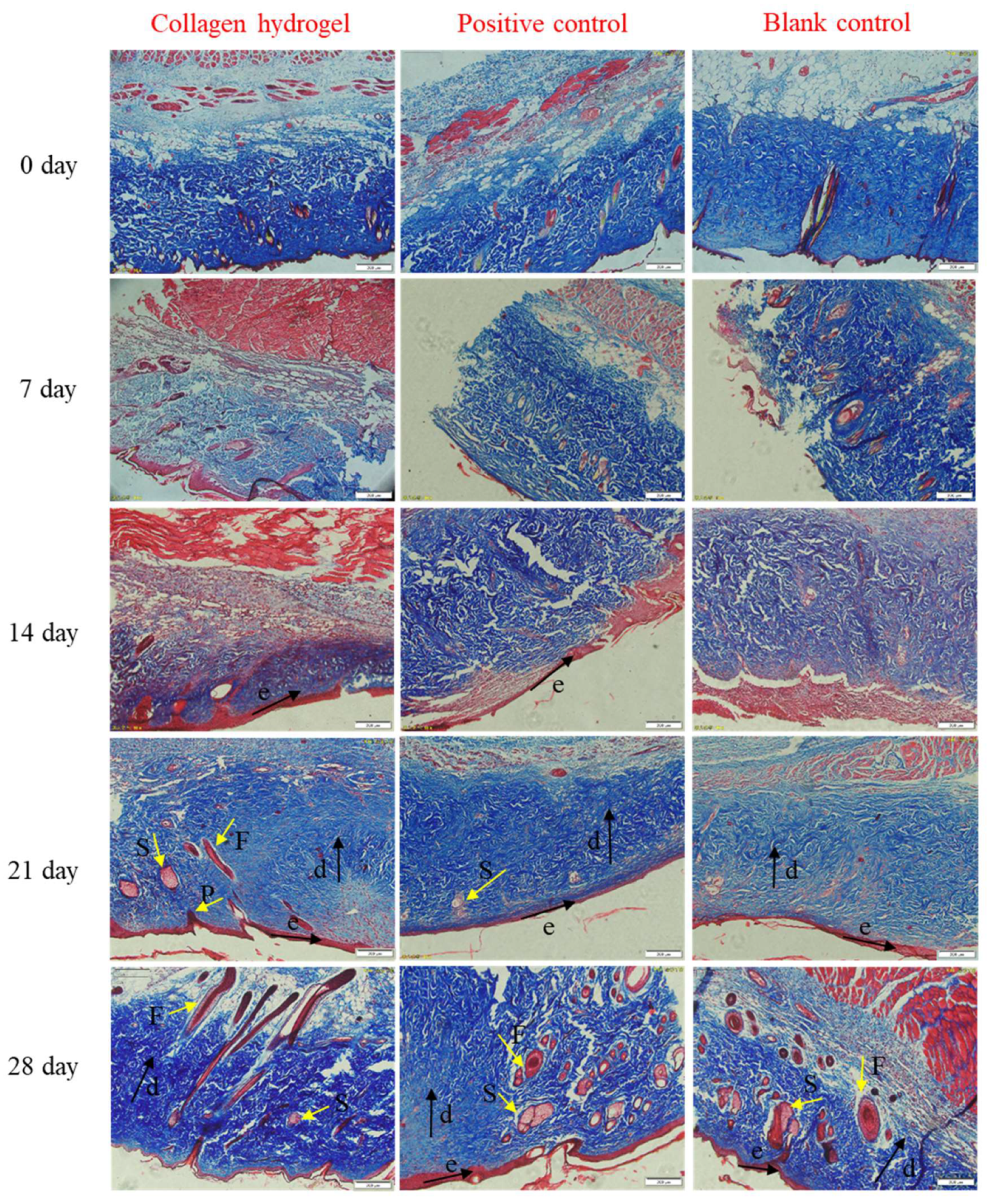 Marinedrugs 18 00178 g008