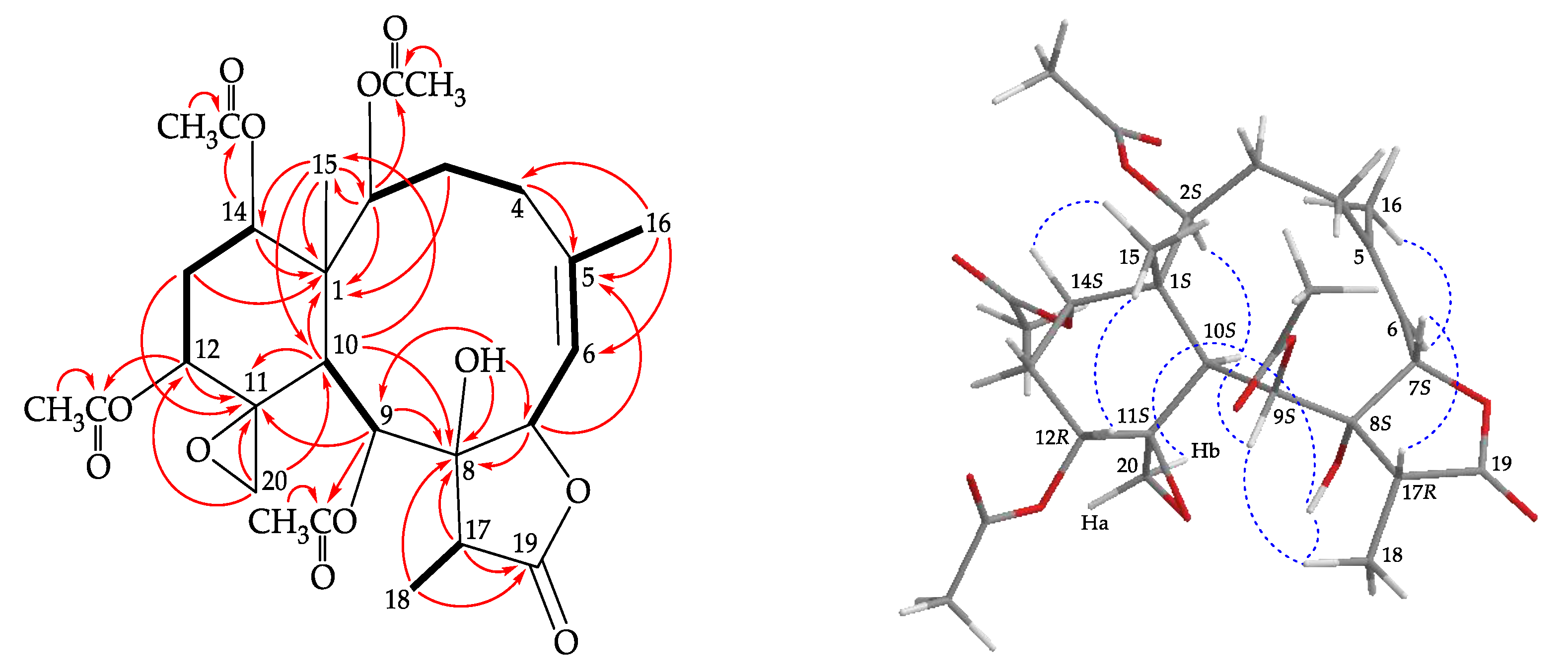 Marinedrugs 18 00183 g004 Marinedrugs 18 00183 g004