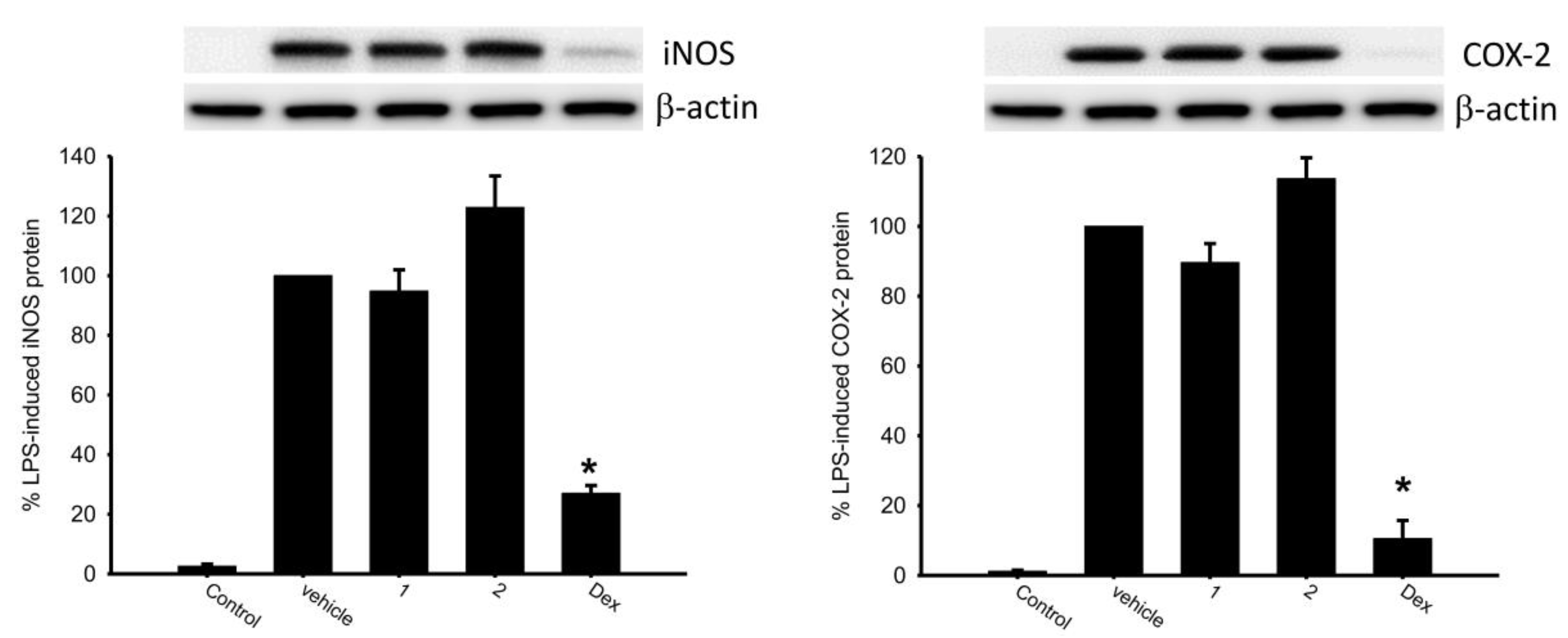 Marinedrugs 18 00183 g005 Marinedrugs 18 00183 g005