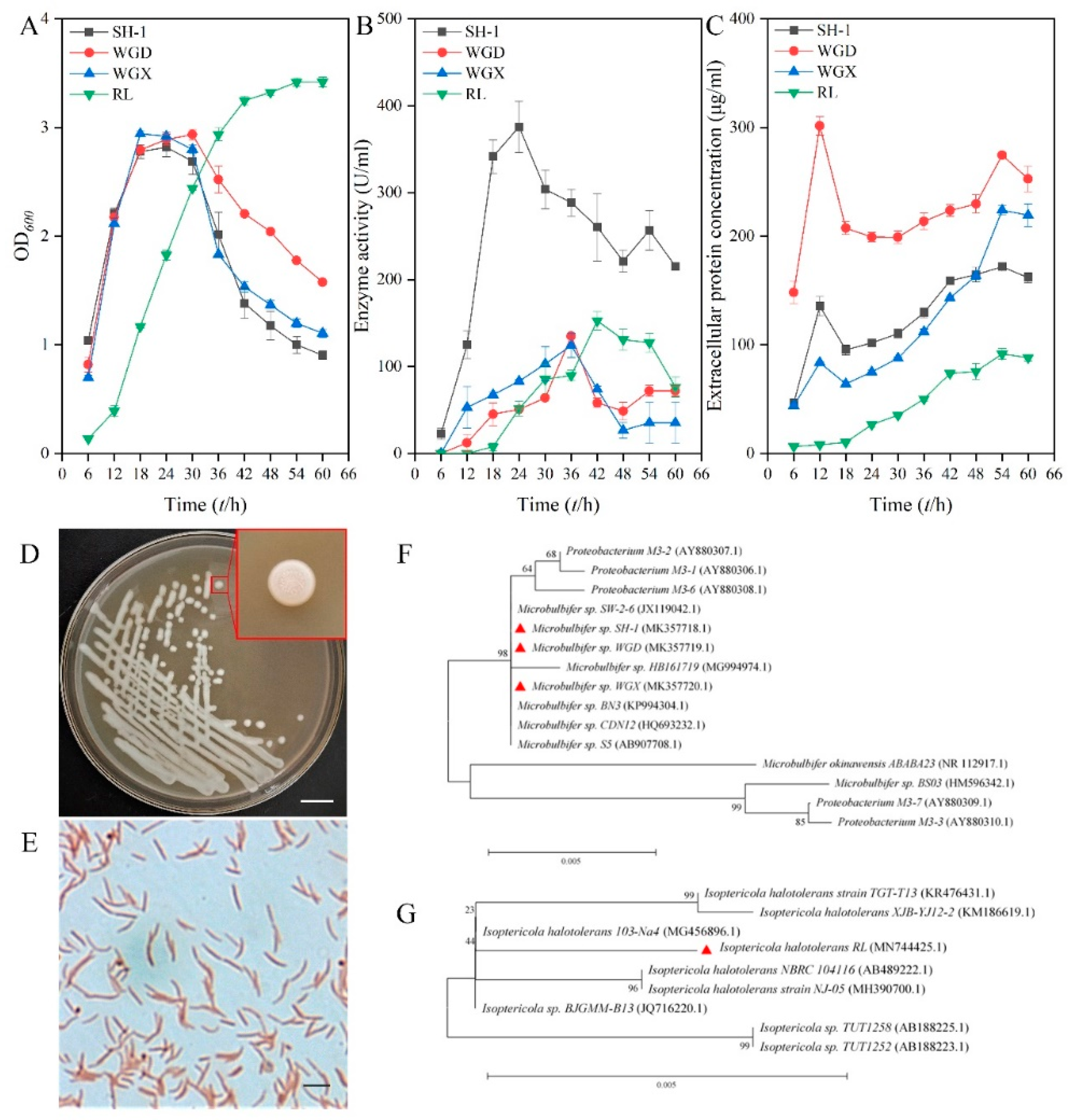 Marinedrugs 18 00184 g001 Marinedrugs 18 00184 g001