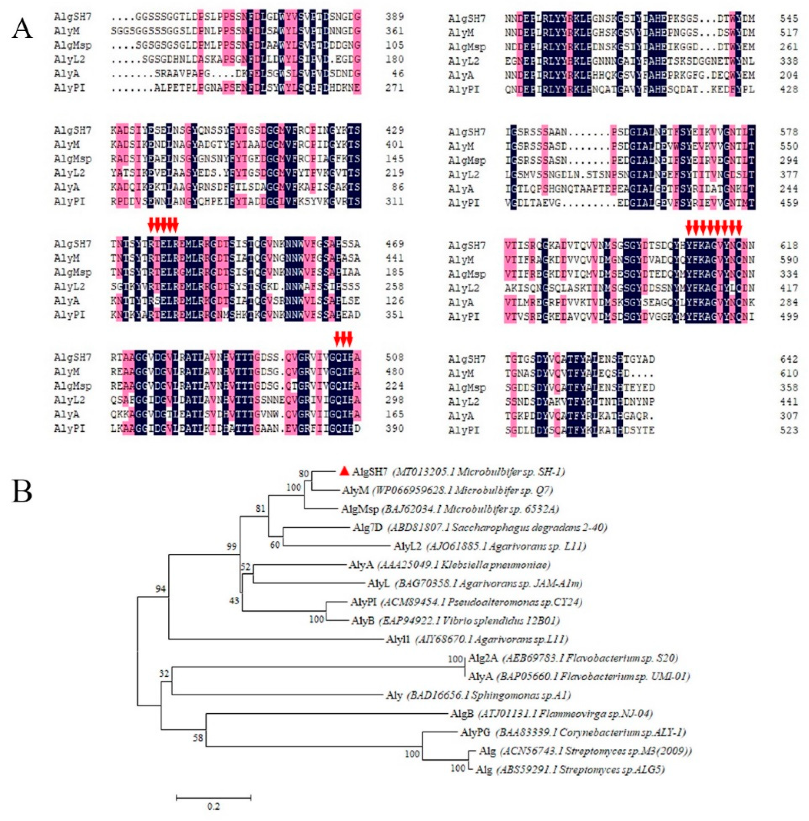 Marinedrugs 18 00184 g003 Marinedrugs 18 00184 g003