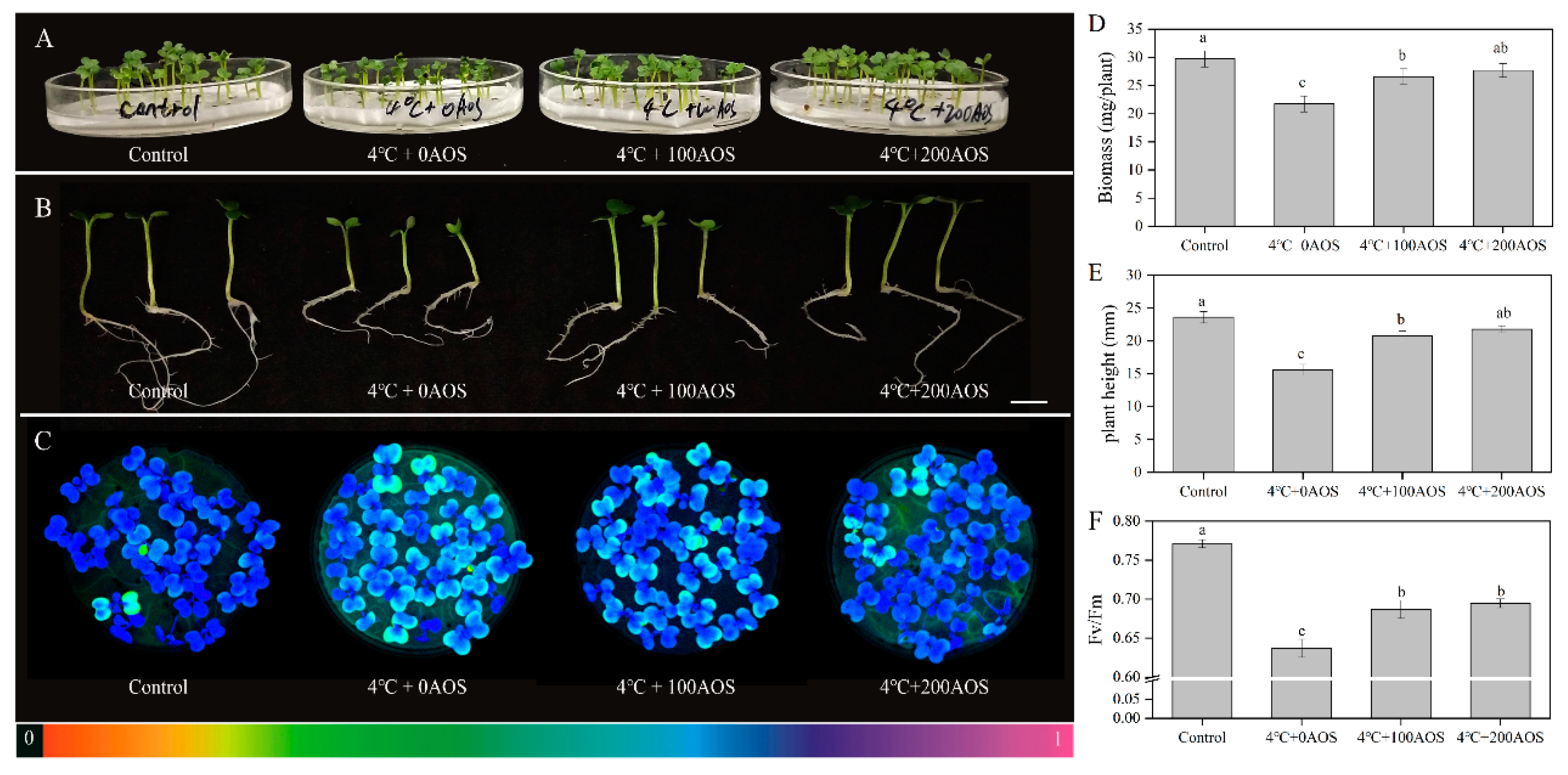 Marinedrugs 18 00184 g009 Marinedrugs 18 00184 g009