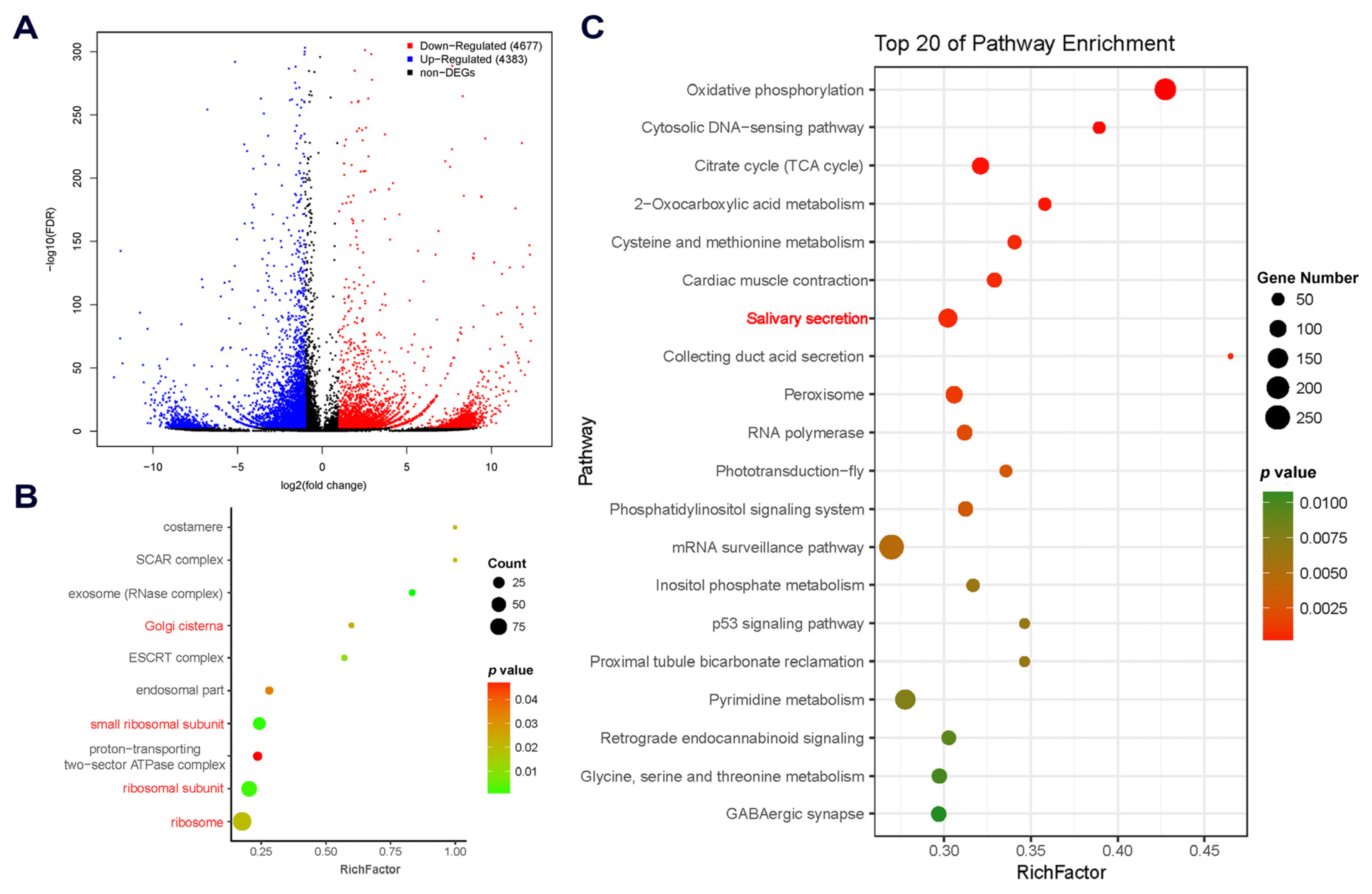 Marinedrugs 18 00186 g002