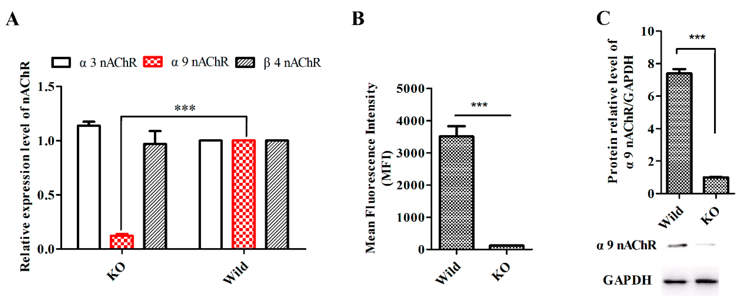 Marinedrugs 18 00195 g006 Marinedrugs 18 00195 g006