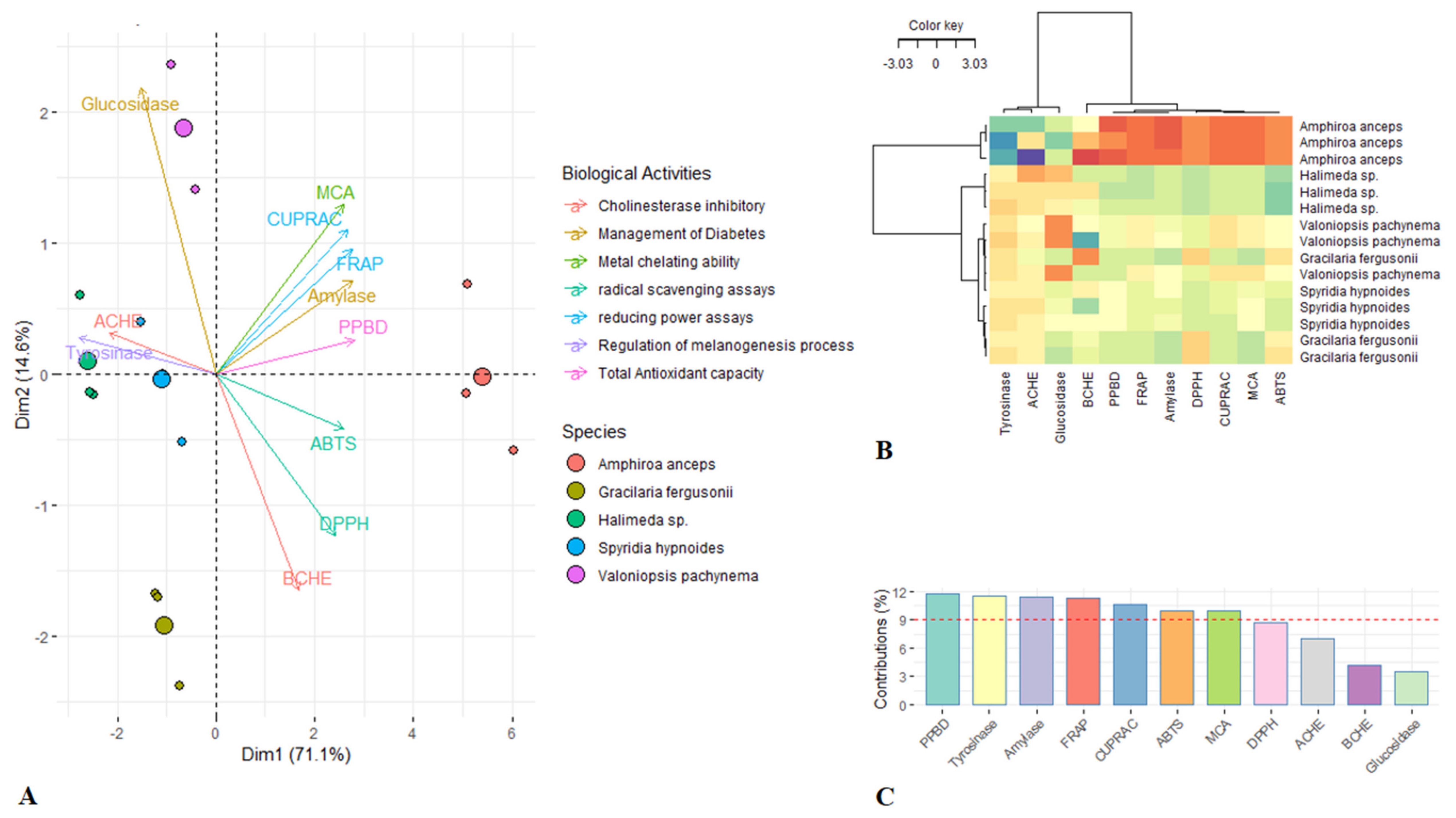 Marinedrugs 18 00198 g001