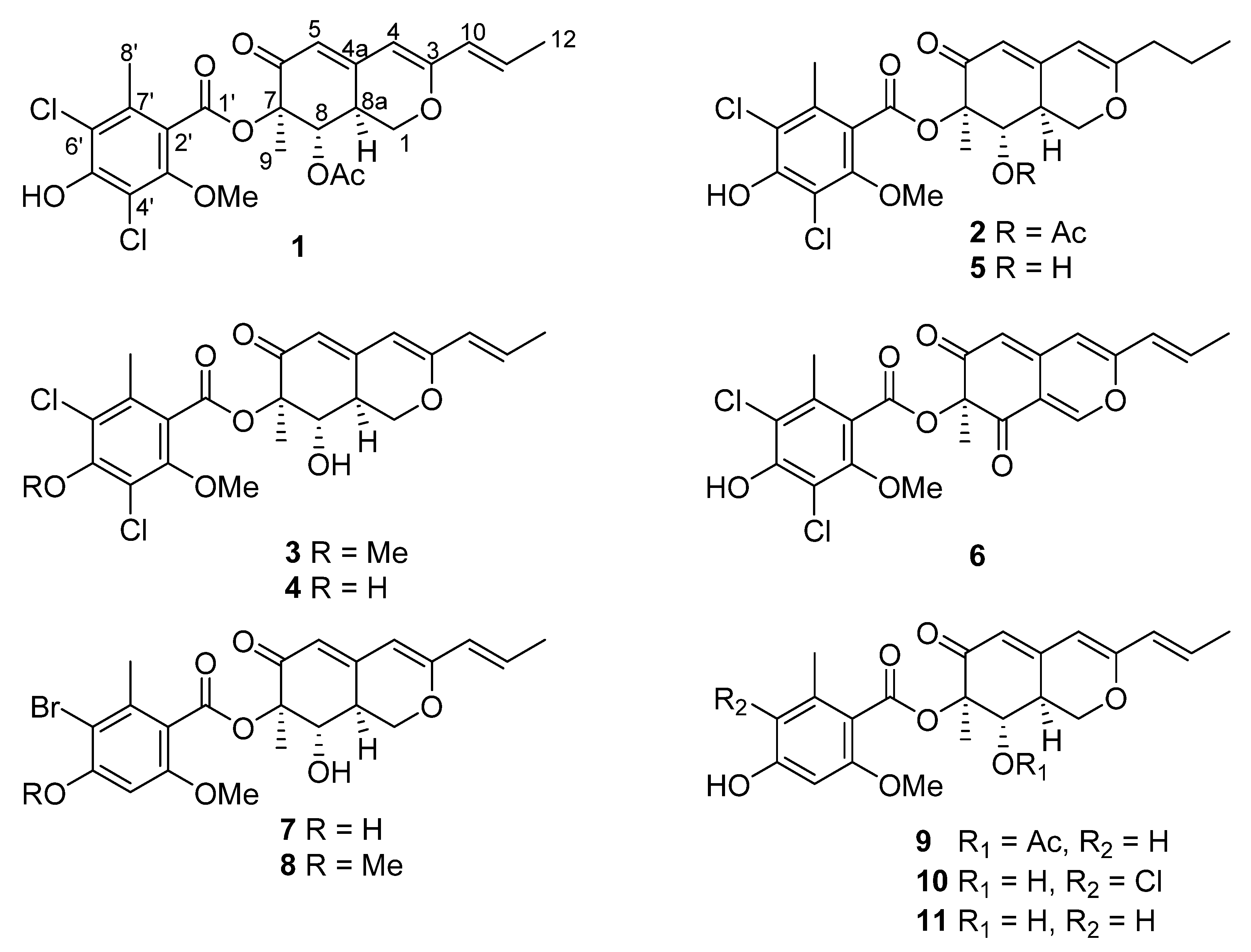Marinedrugs 18 00204 g001 Marinedrugs 18 00204 g001