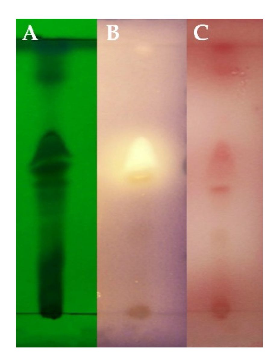 Marinedrugs 18 00205 g001