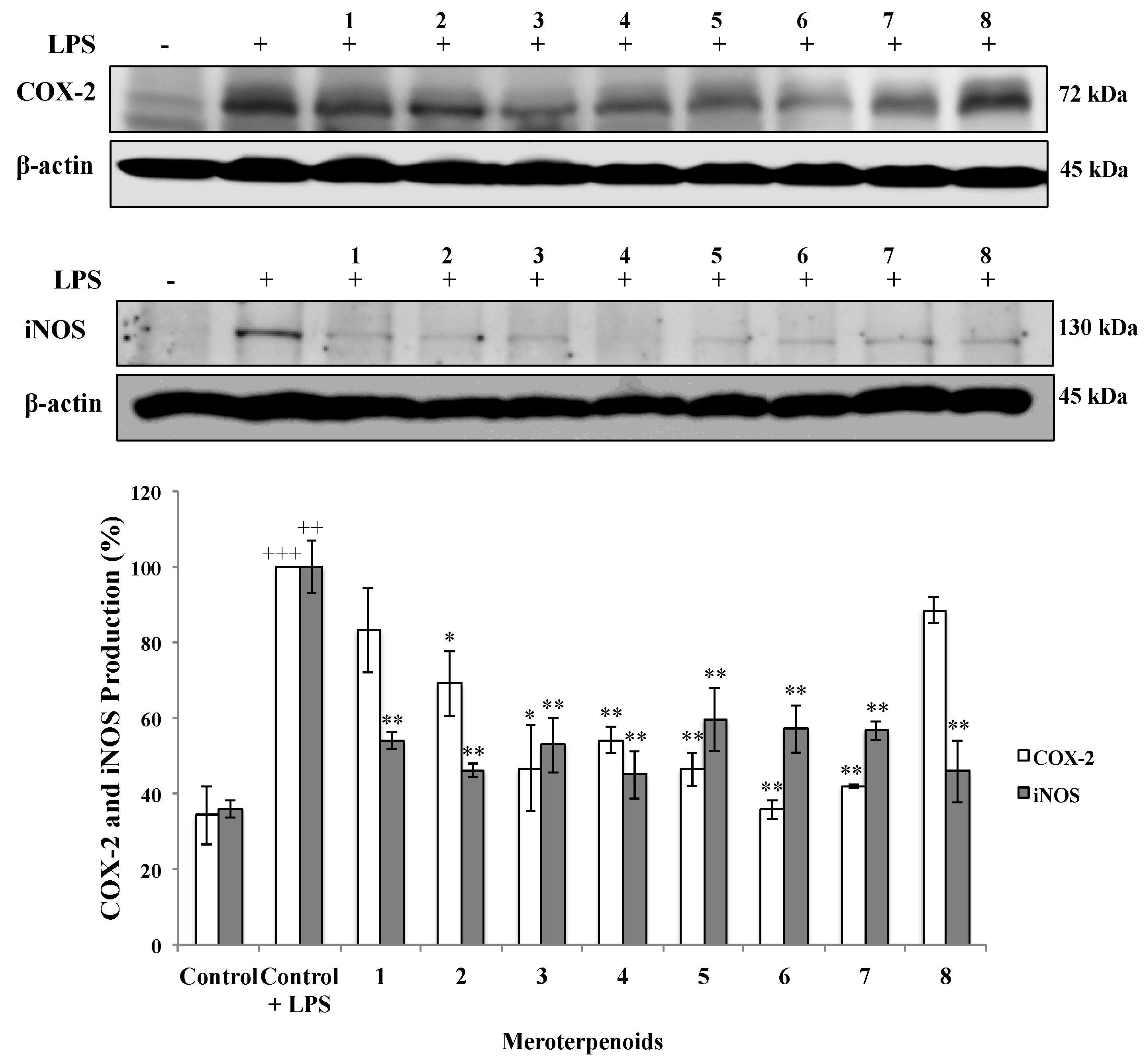 Marinedrugs 18 00207 g003 Marinedrugs 18 00207 g003