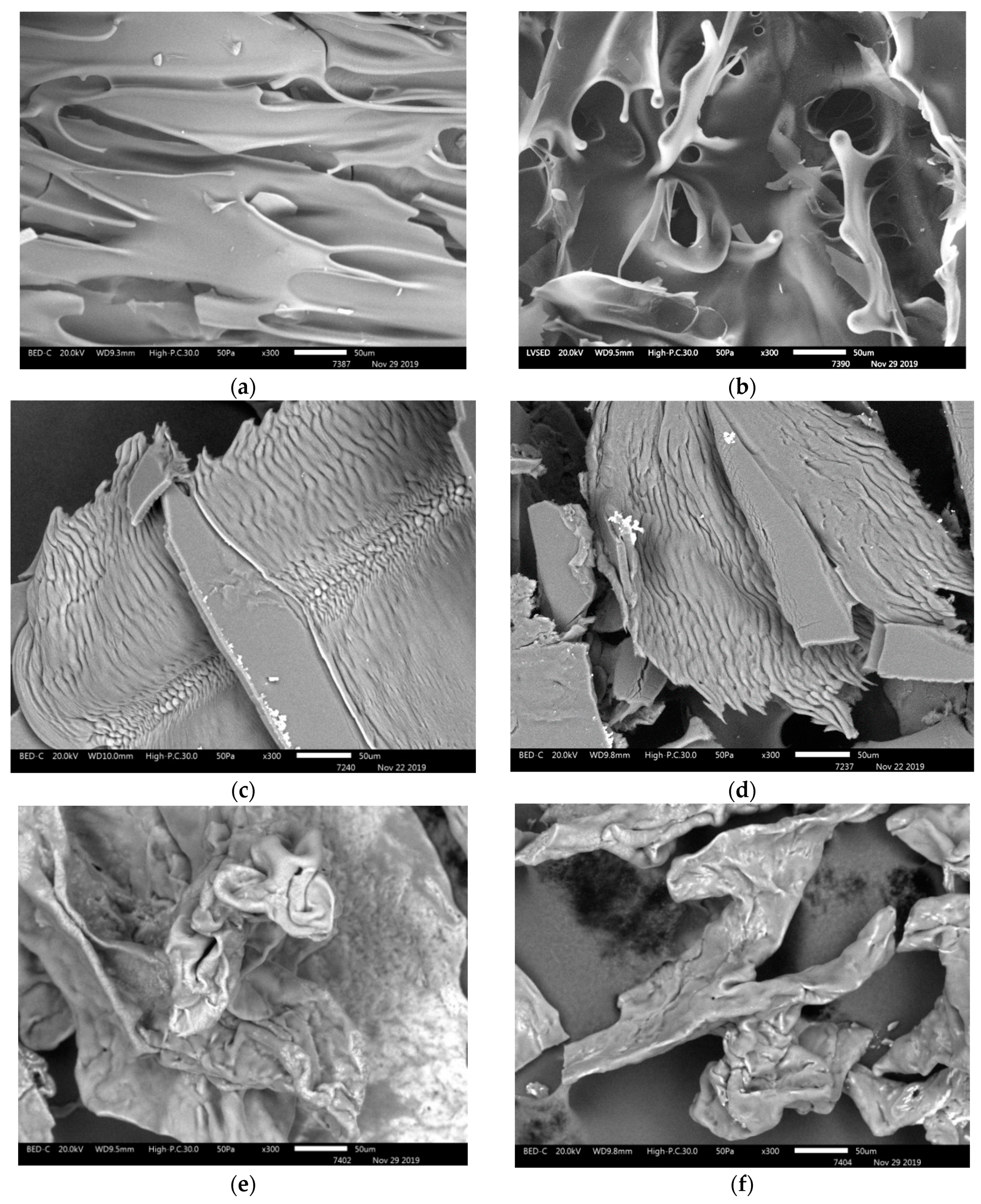 Marinedrugs 18 00208 g002