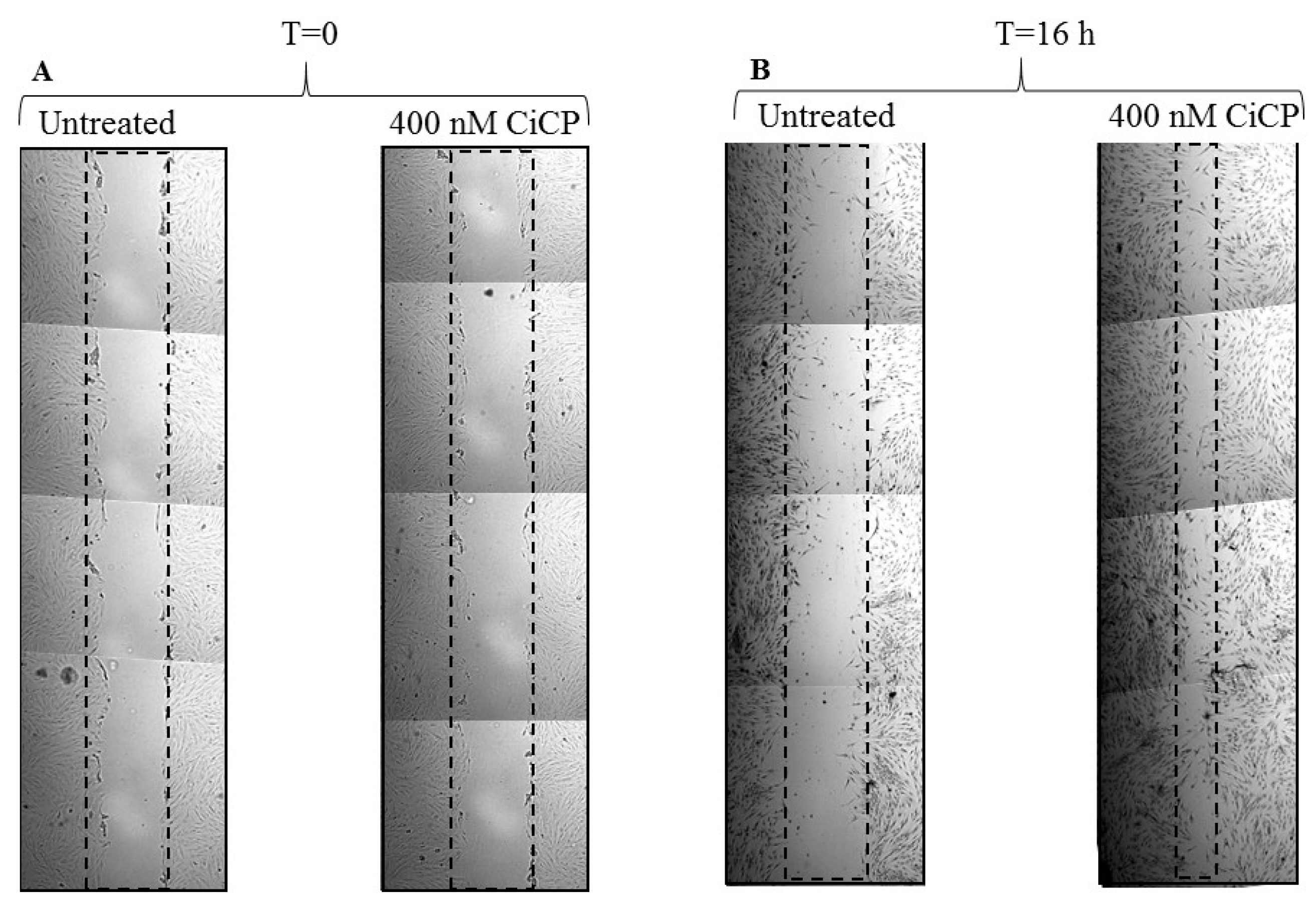 Marinedrugs 18 00209 g005