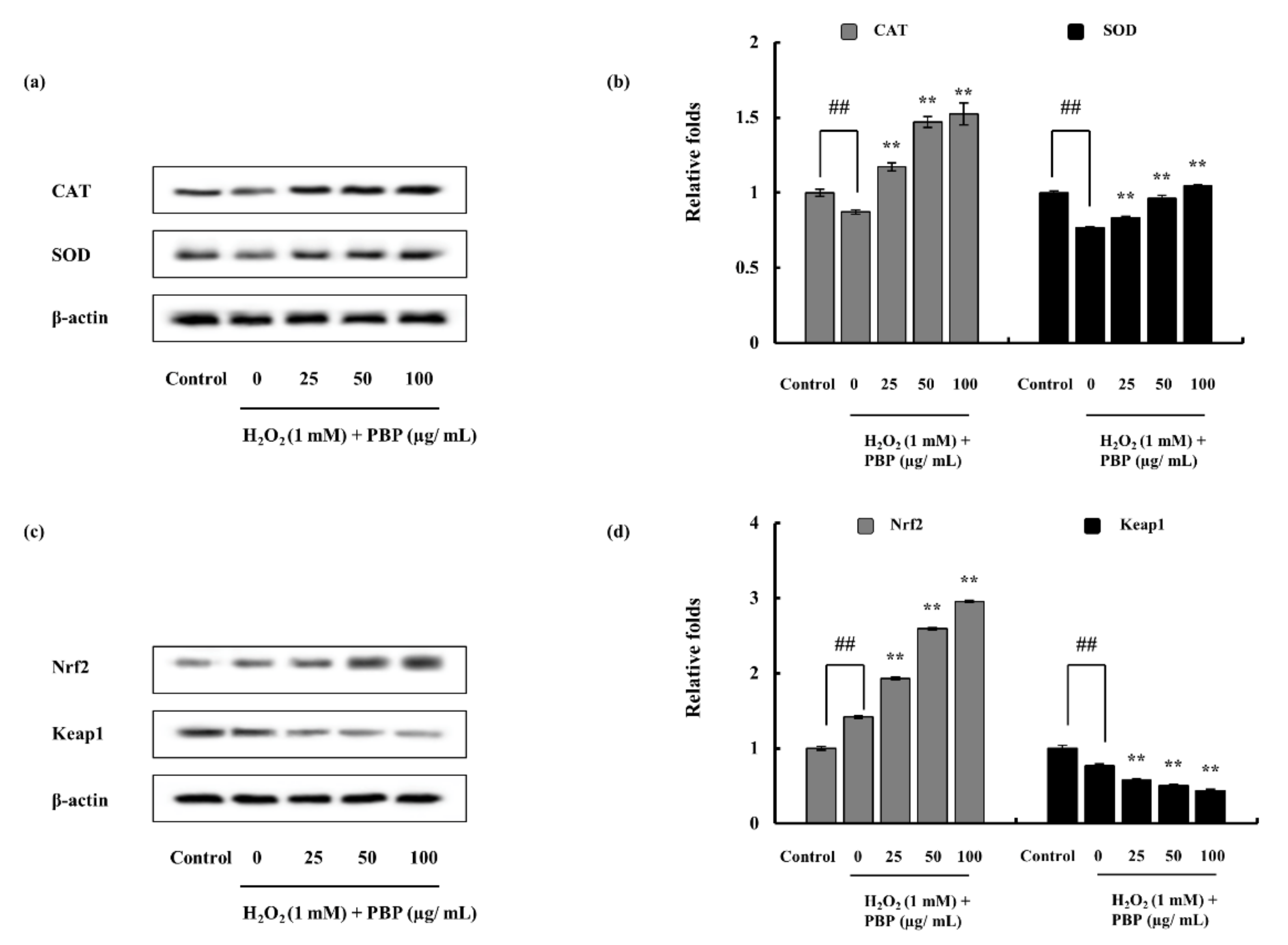 Marinedrugs 18 00212 g004