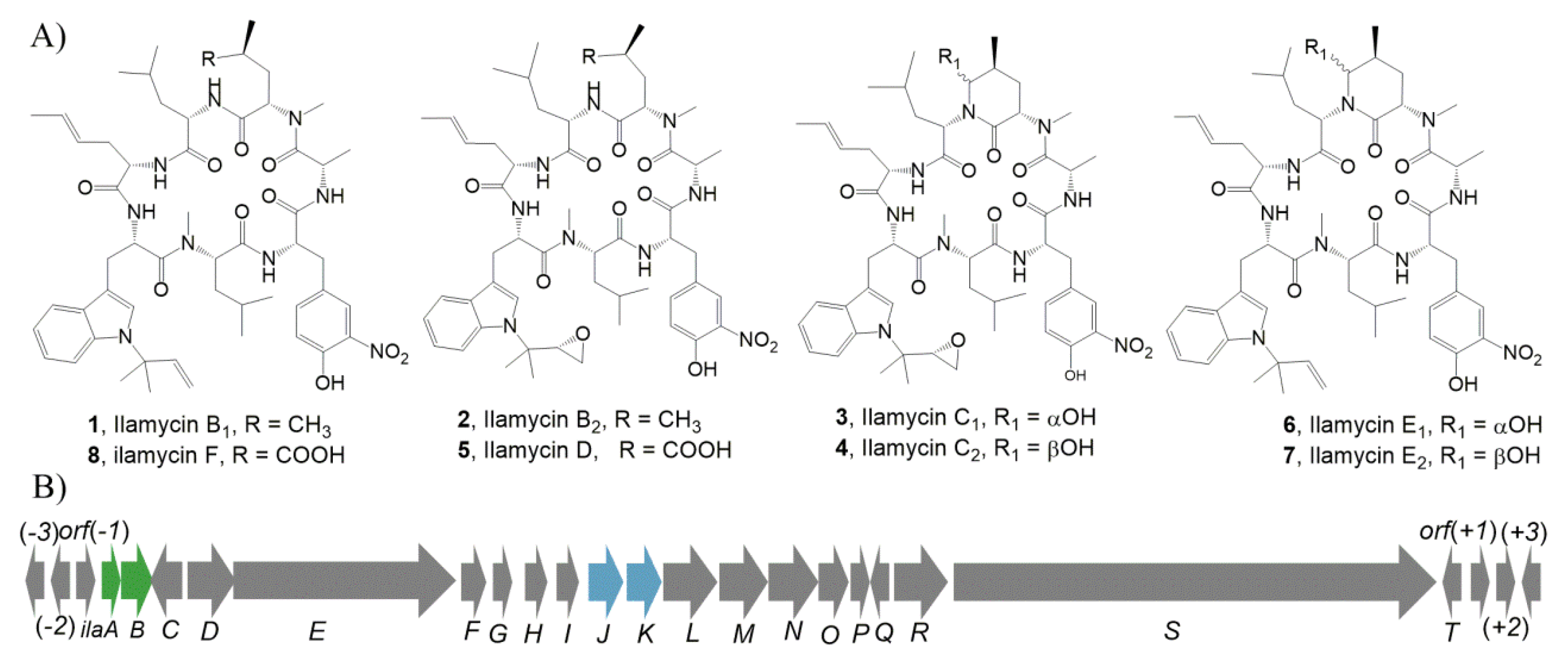 Marinedrugs 18 00216 g001 Marinedrugs 18 00216 g001