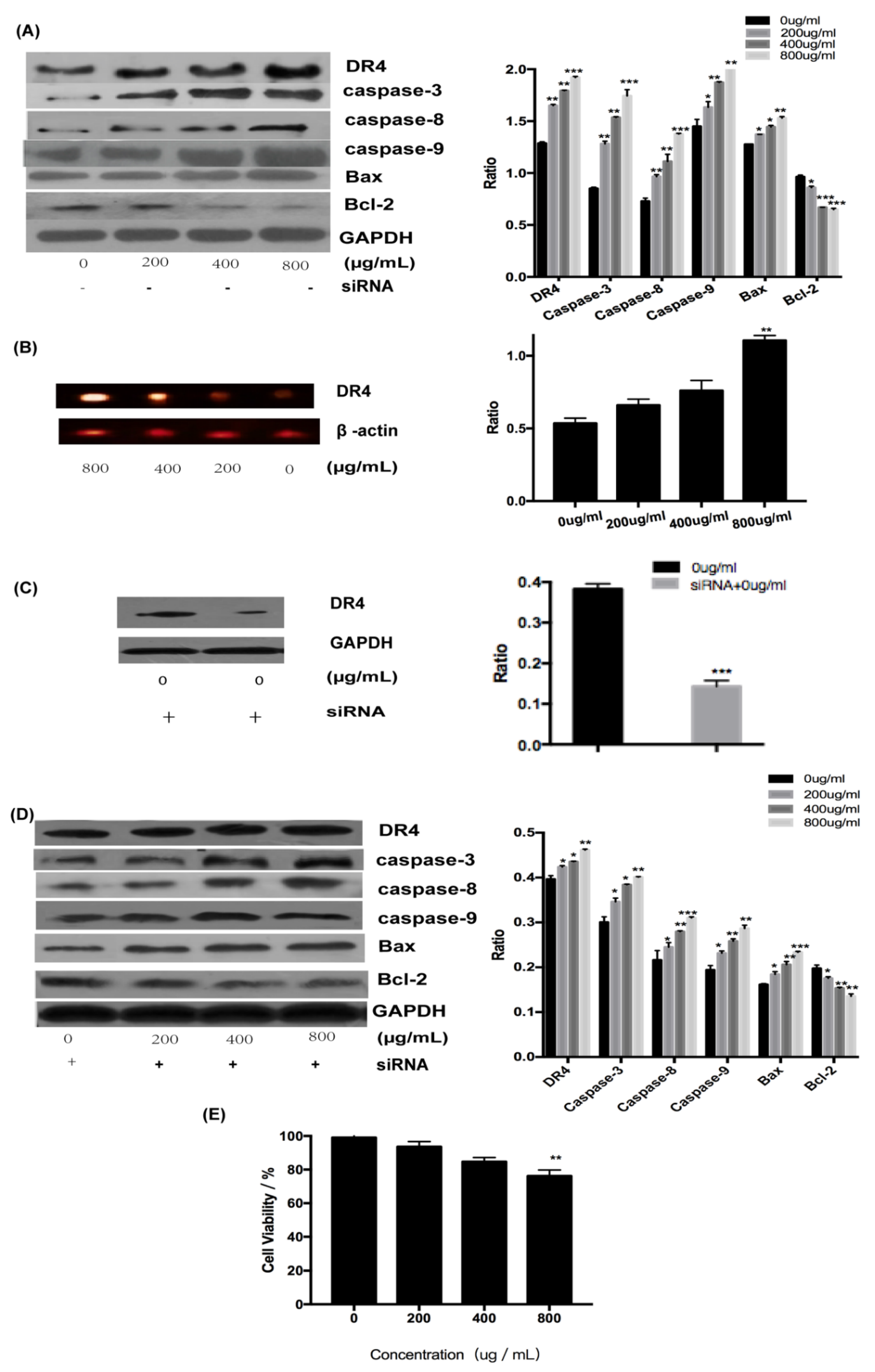 Marinedrugs 18 00220 g004 Marinedrugs 18 00220 g004