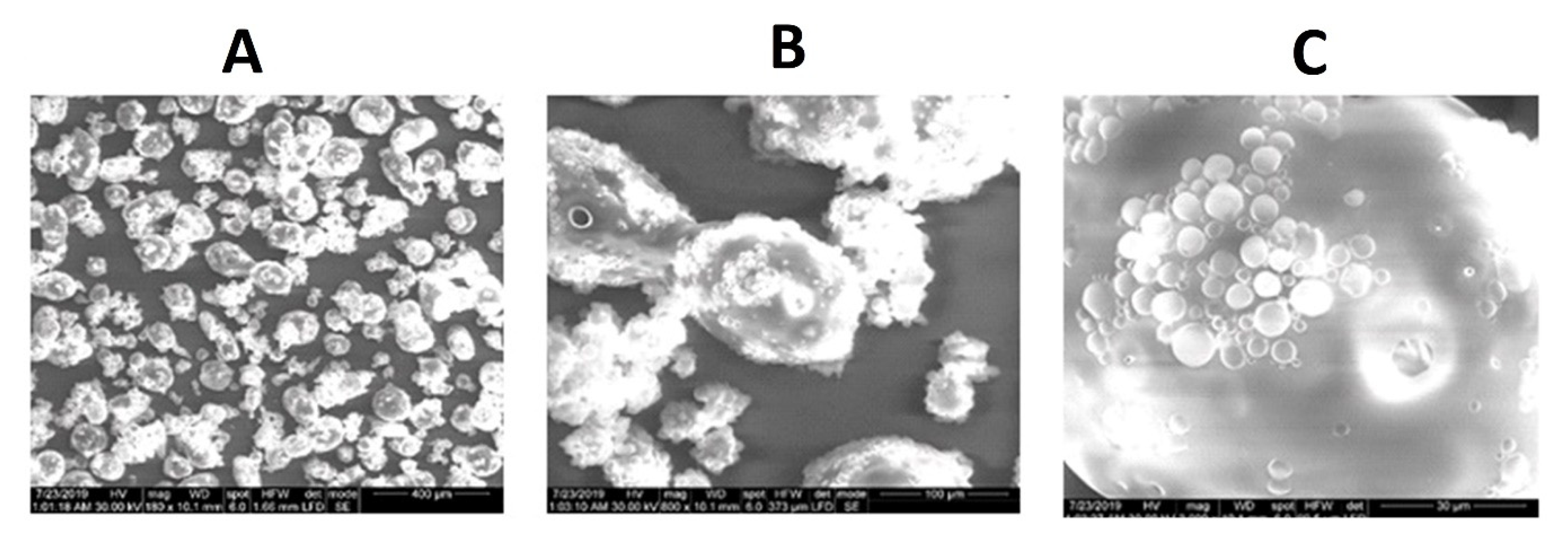 Marinedrugs 18 00226 g001 Marinedrugs 18 00226 g001