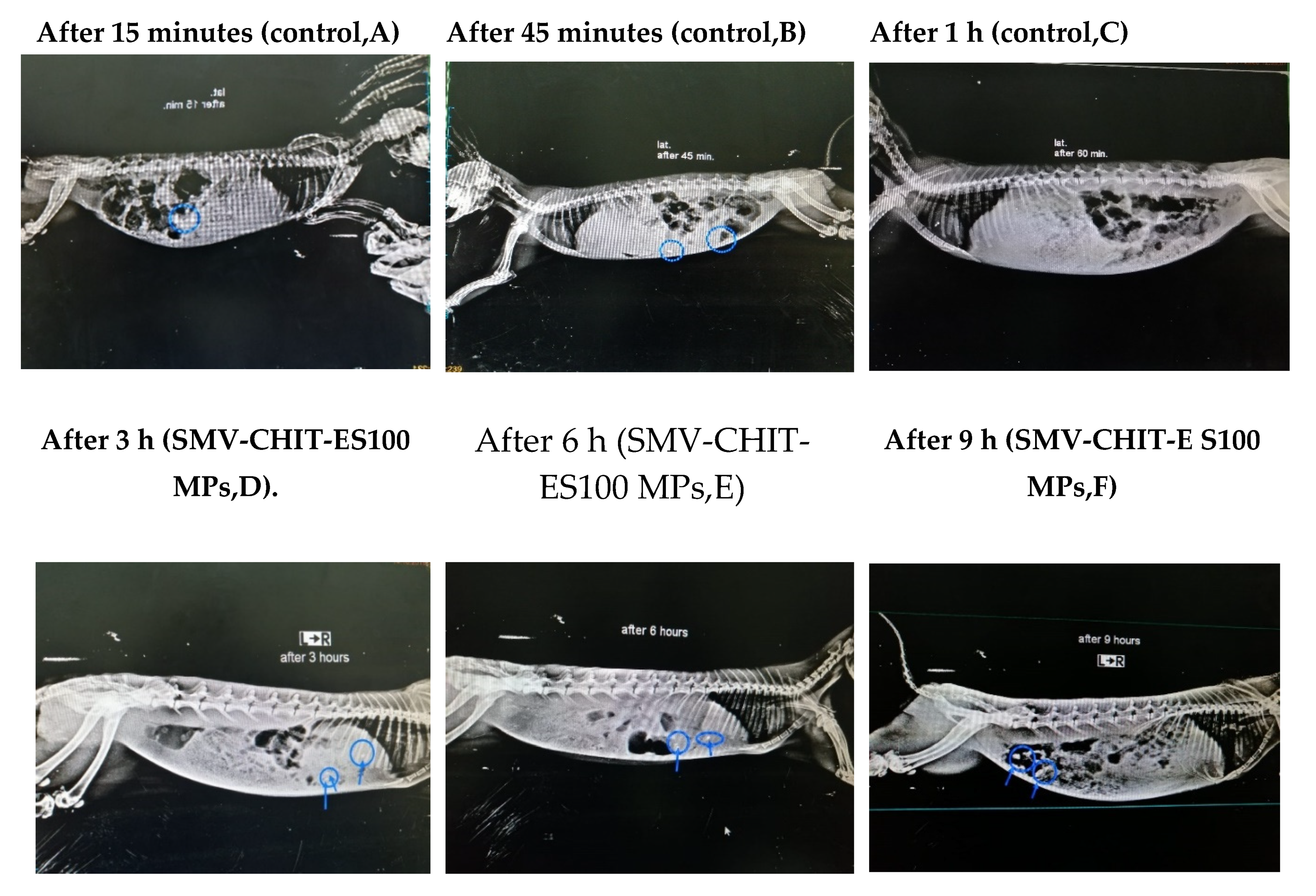 Marinedrugs 18 00226 g007 Marinedrugs 18 00226 g007