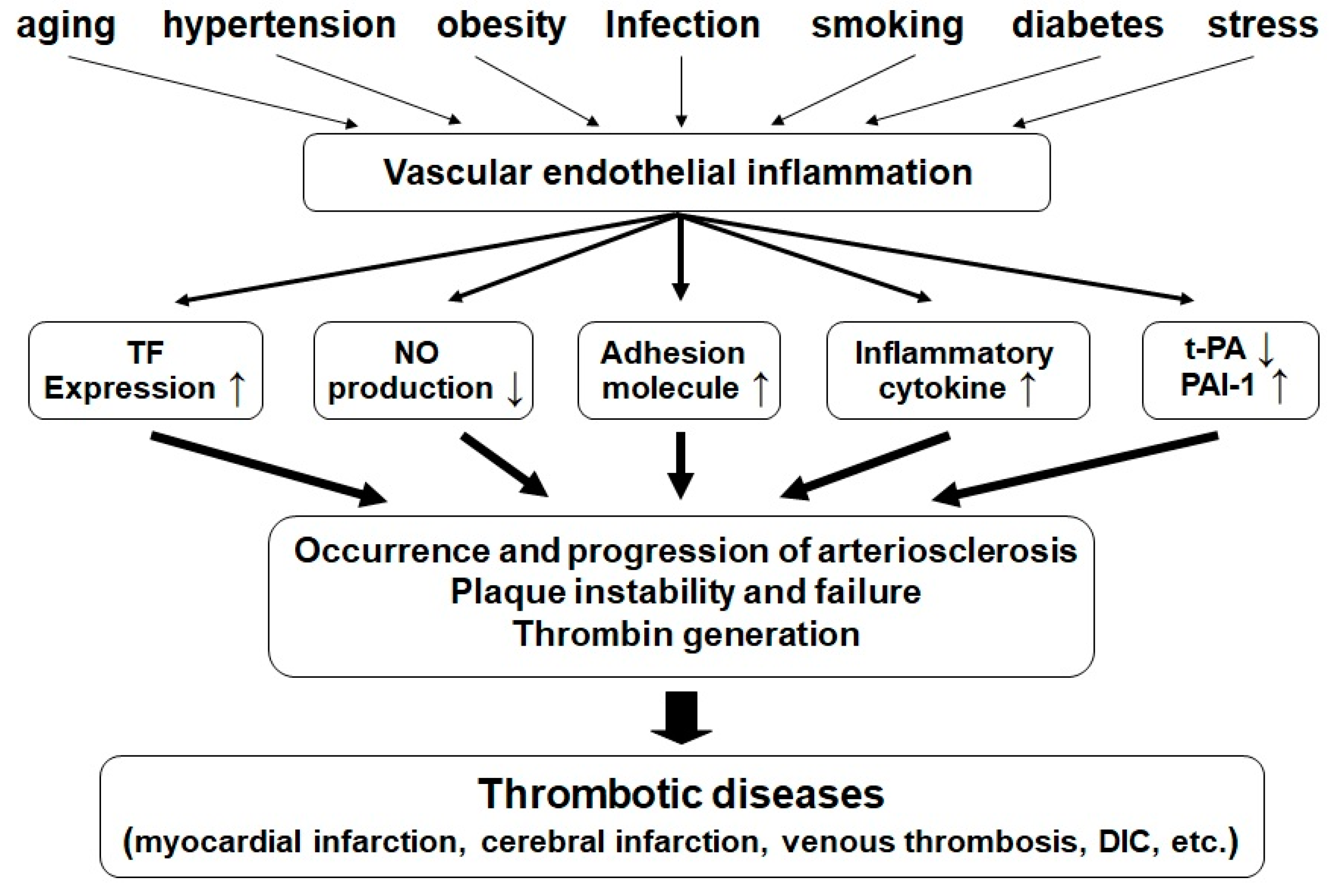 Marinedrugs 18 00228 g005 Marinedrugs 18 00228 g005