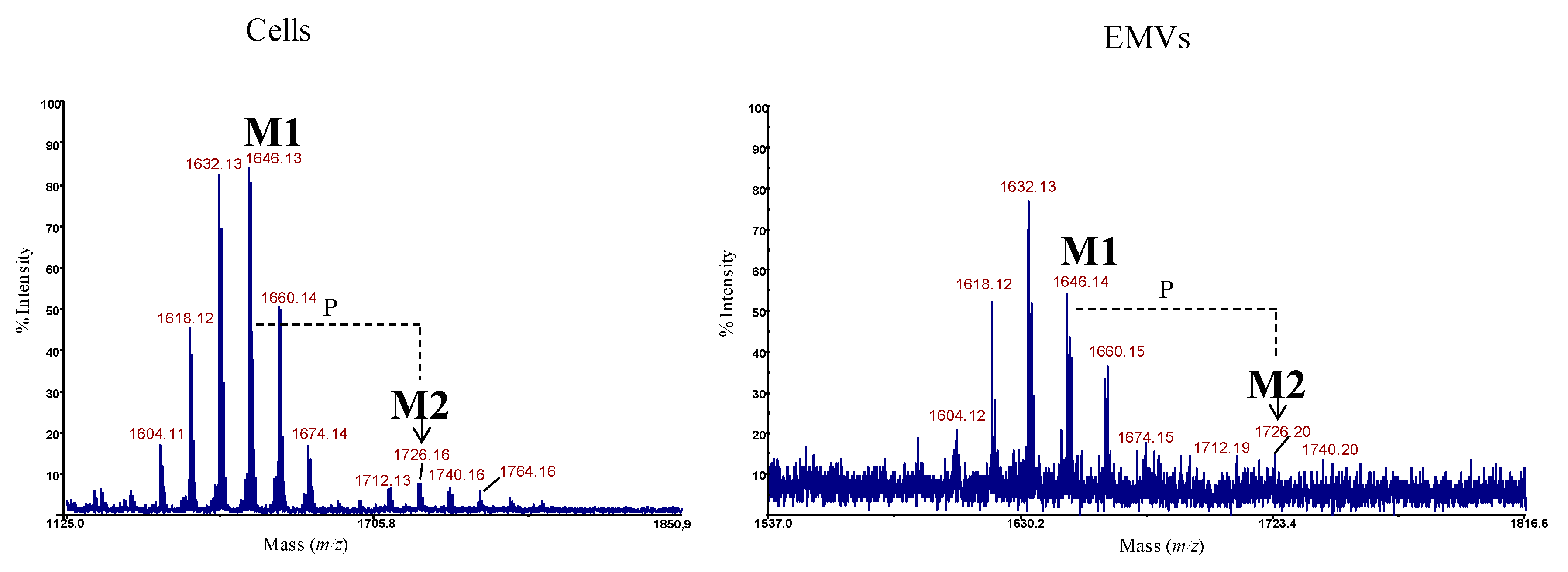 Marinedrugs 18 00231 g004