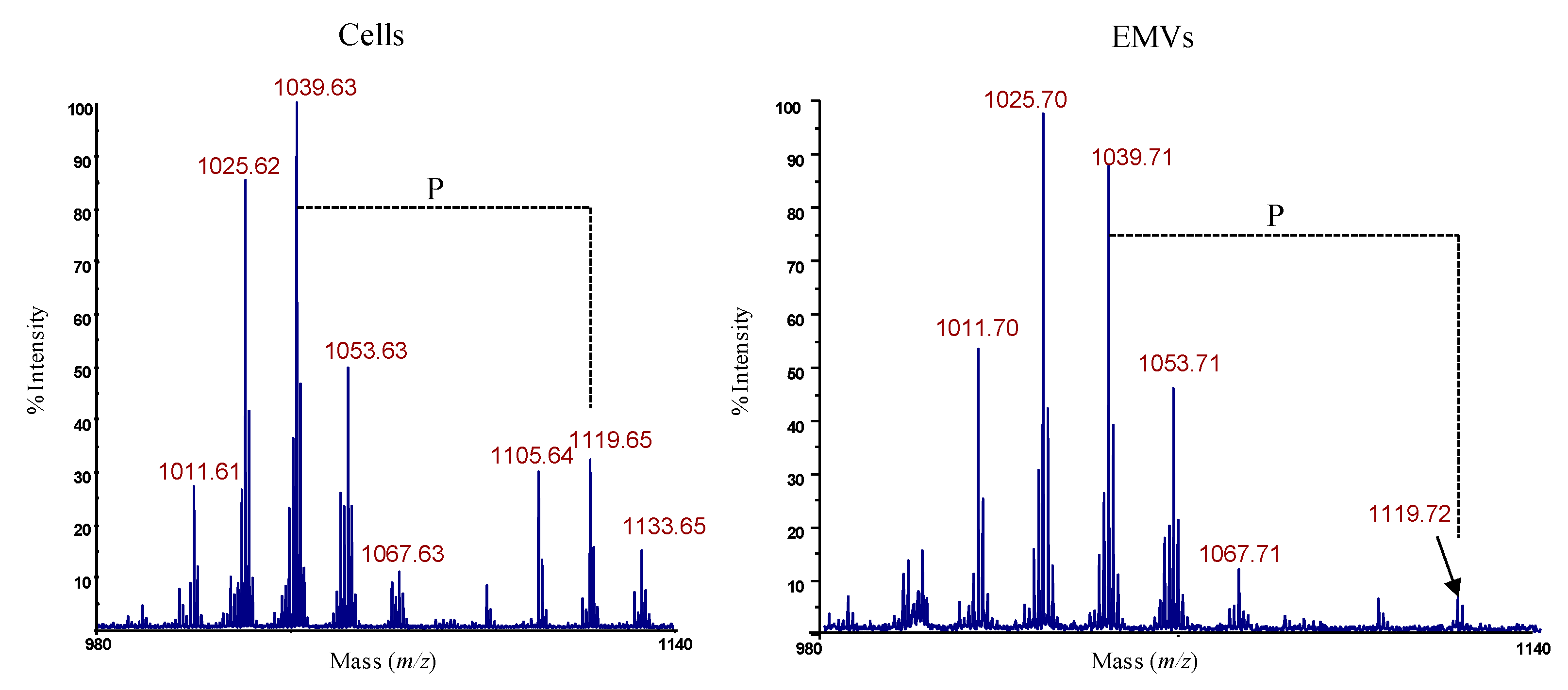 Marinedrugs 18 00231 g005