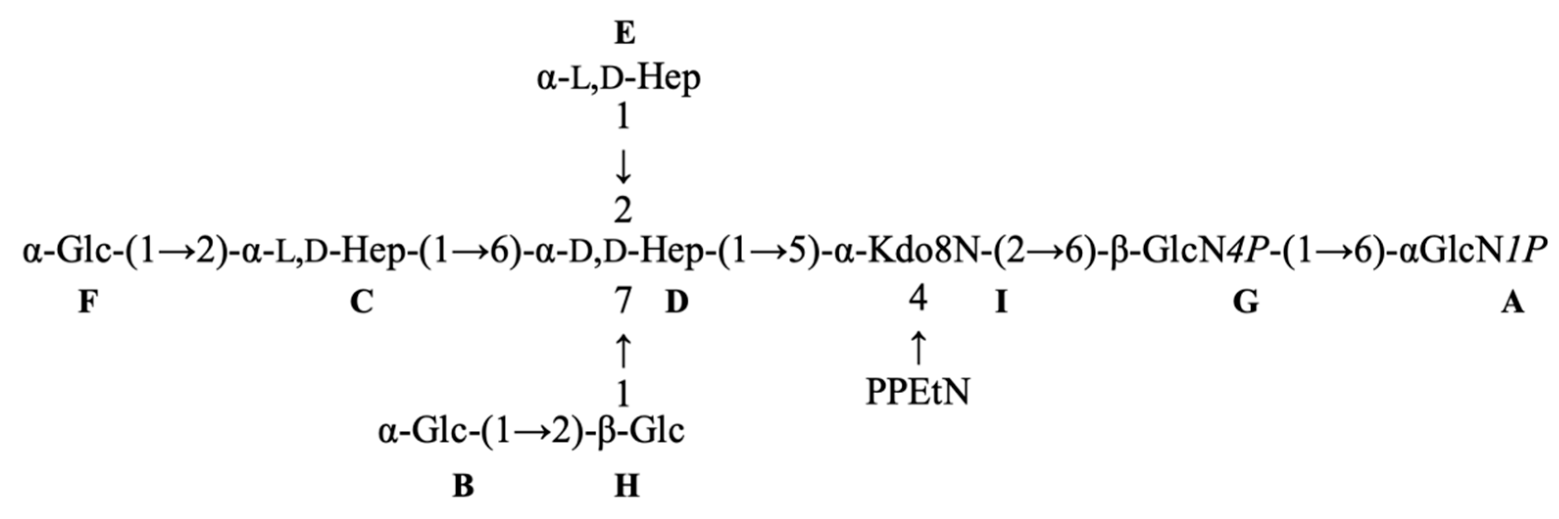 Marinedrugs 18 00231 sch002
